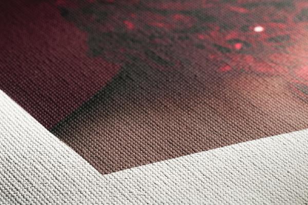 canvas close up