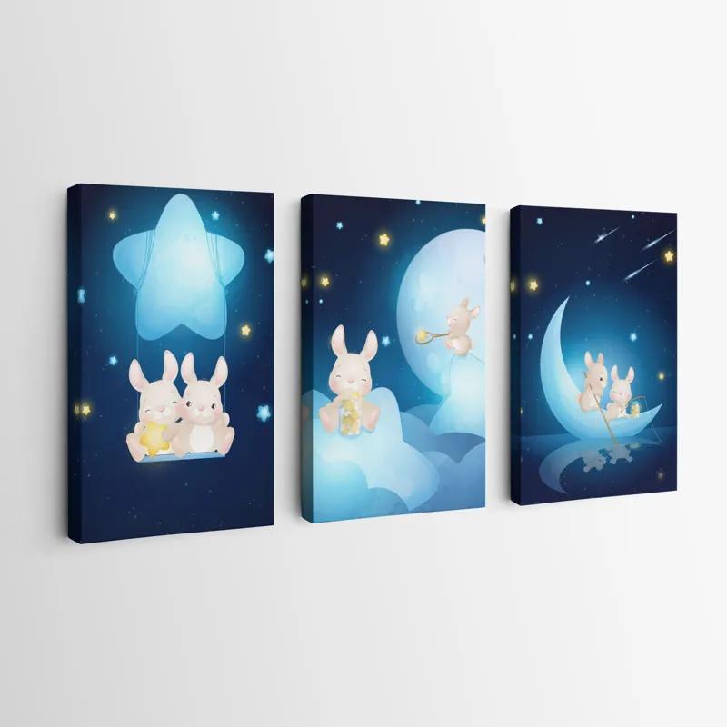 Tablou Multicanvas Star Nightunny mockup 0