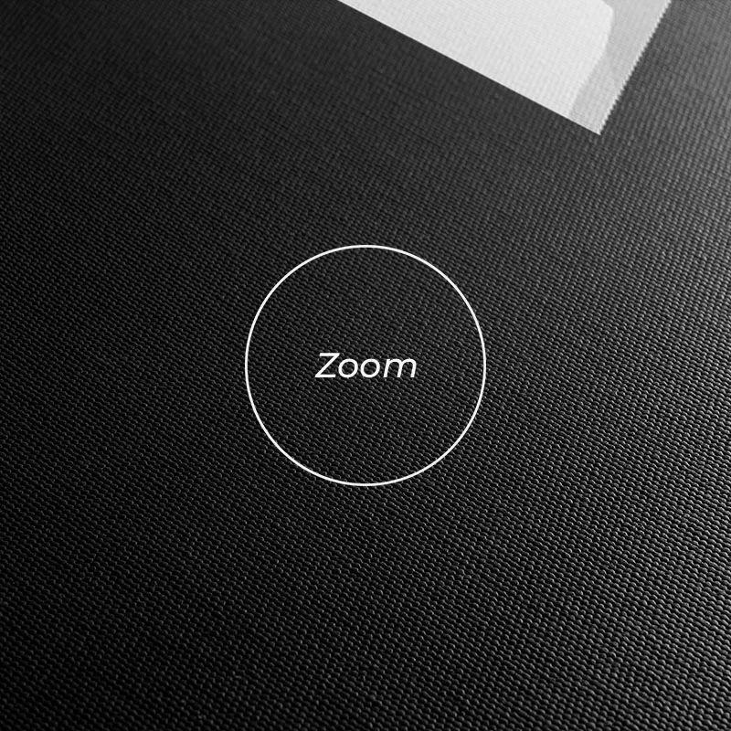 Zebra Color Set mockup 1