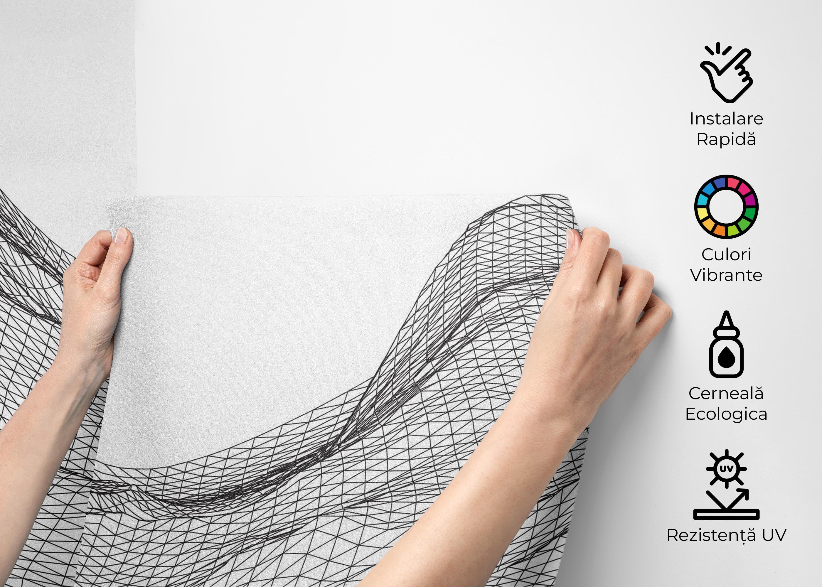 Fototapet Desert Triangle Line mockup 2