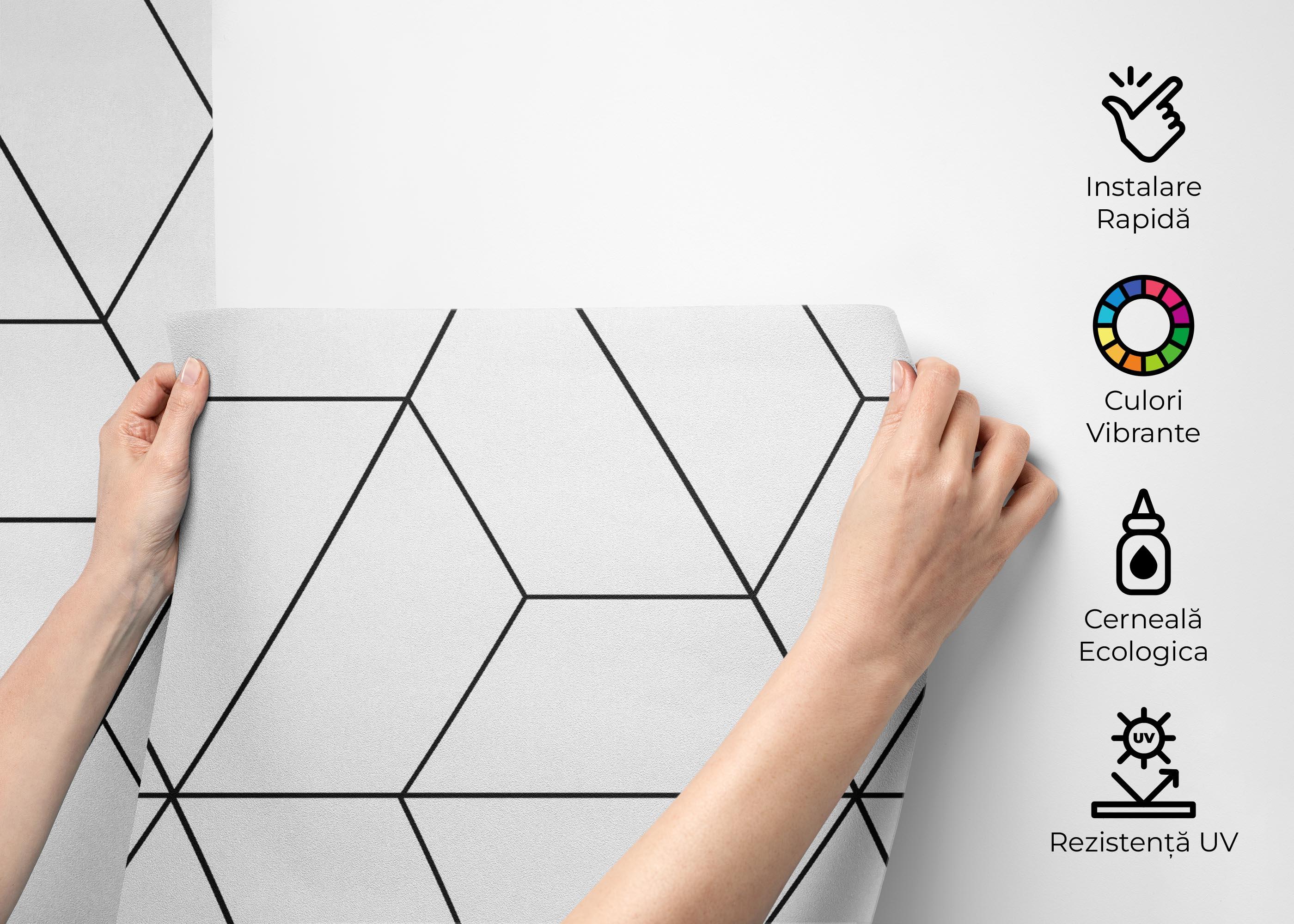 Fototapet Hexagonal Black Line mockup 2