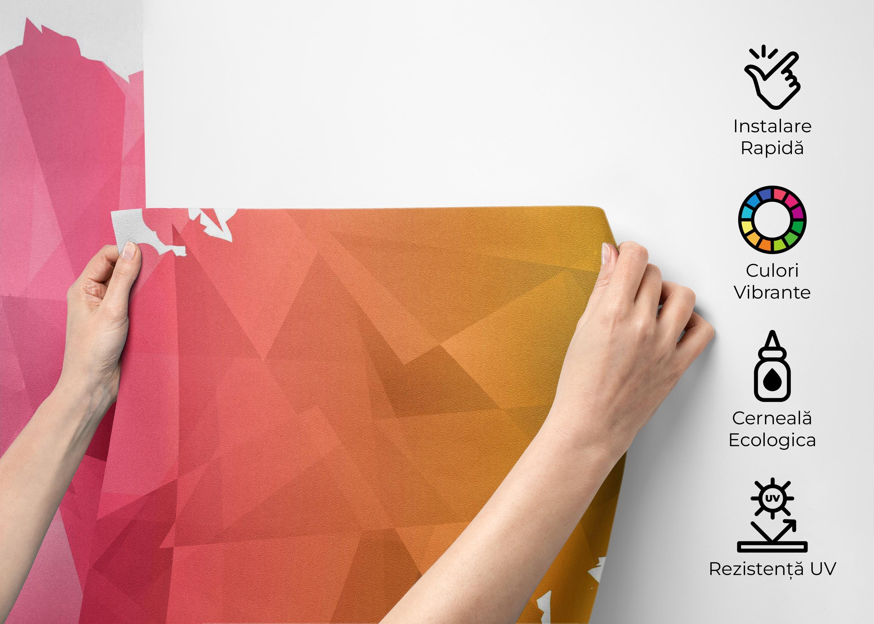 Fototapet Cool Color Map mockup 2