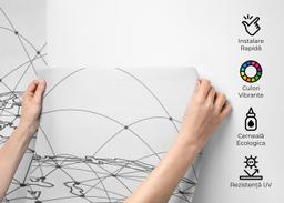 Global_network mockup 2