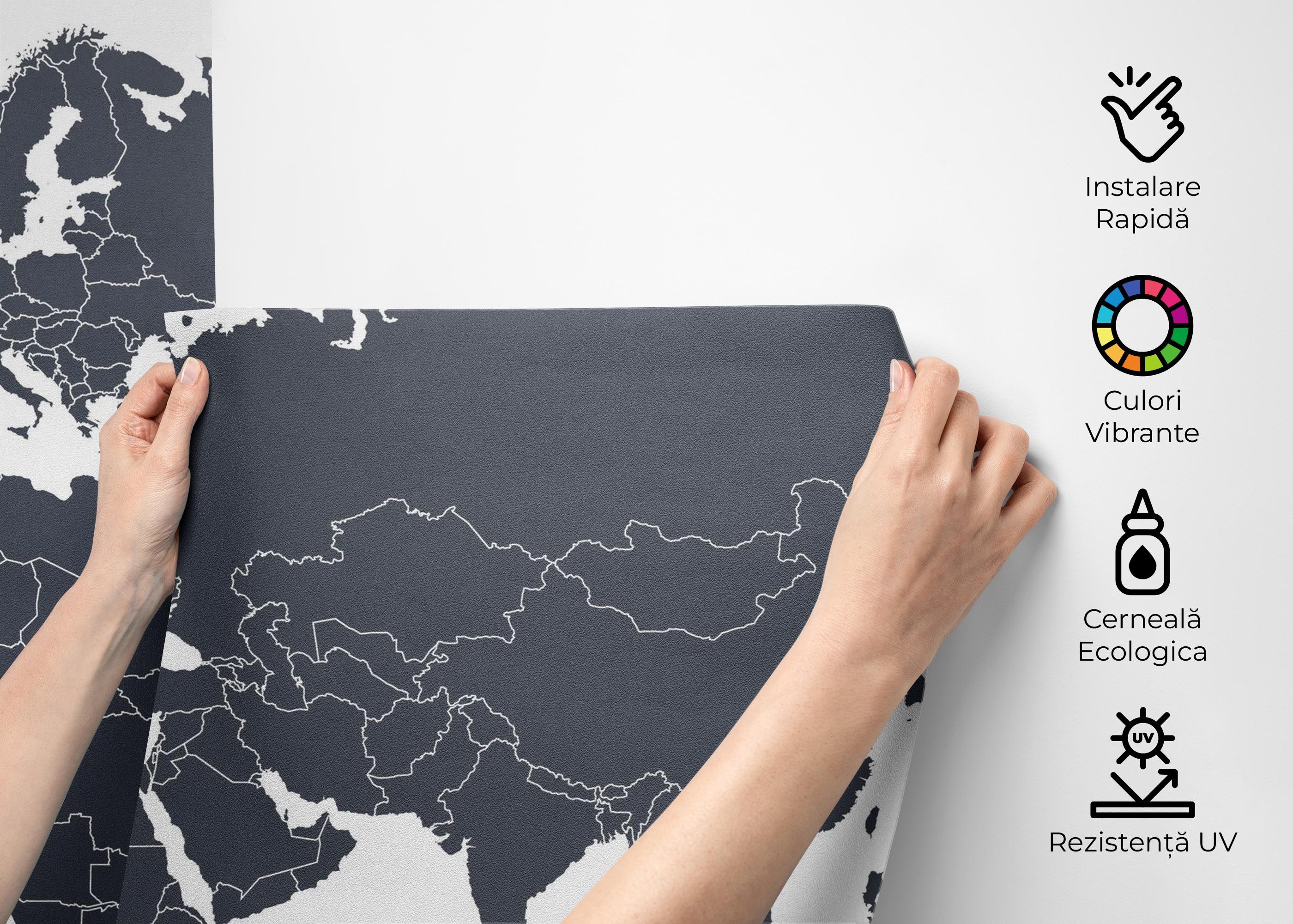 Grey World Map mockup 2