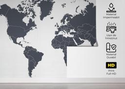 Grey World Map mockup 5