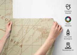 Ancient Cream Map mockup 2