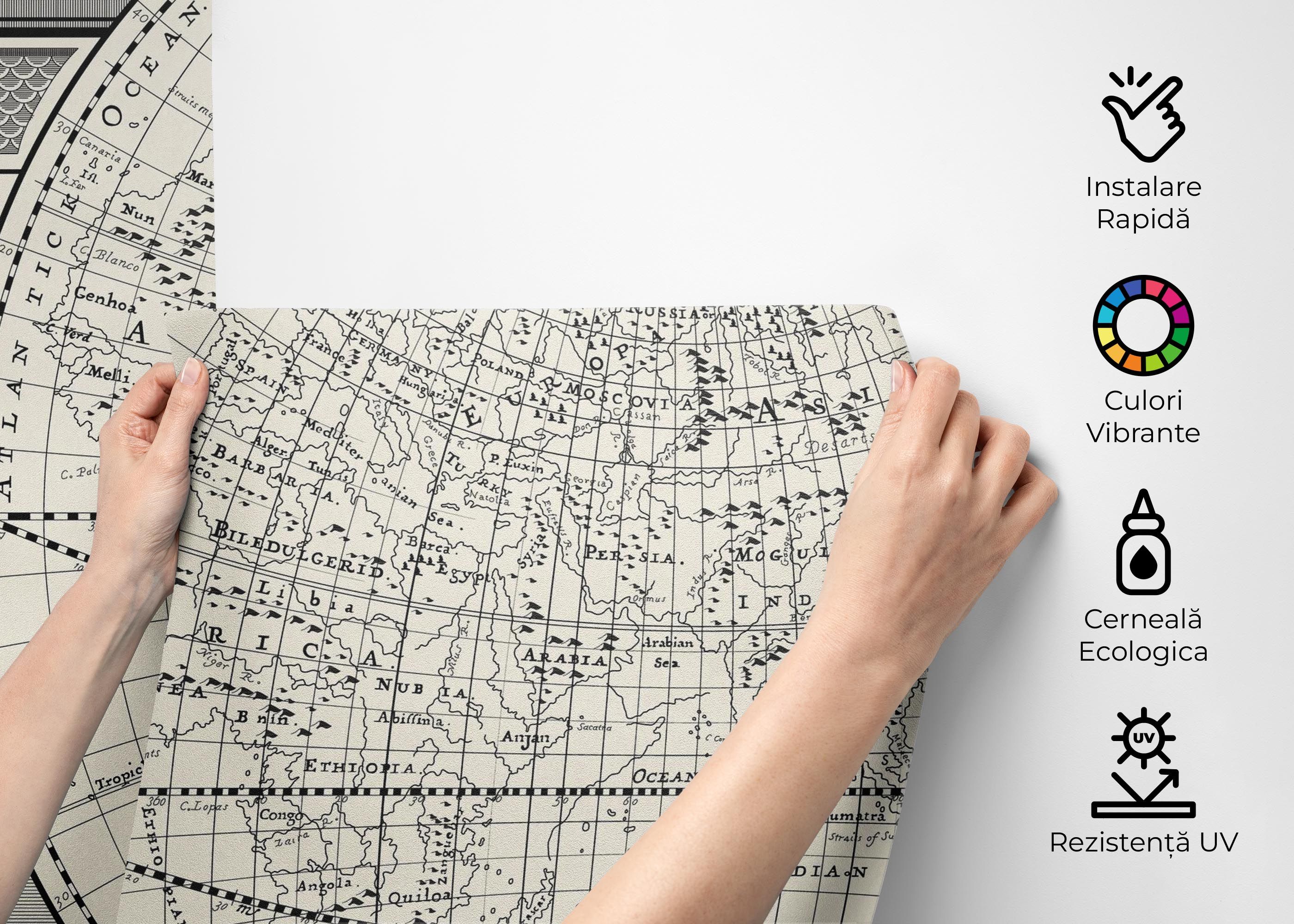 Black Old Map mockup 2