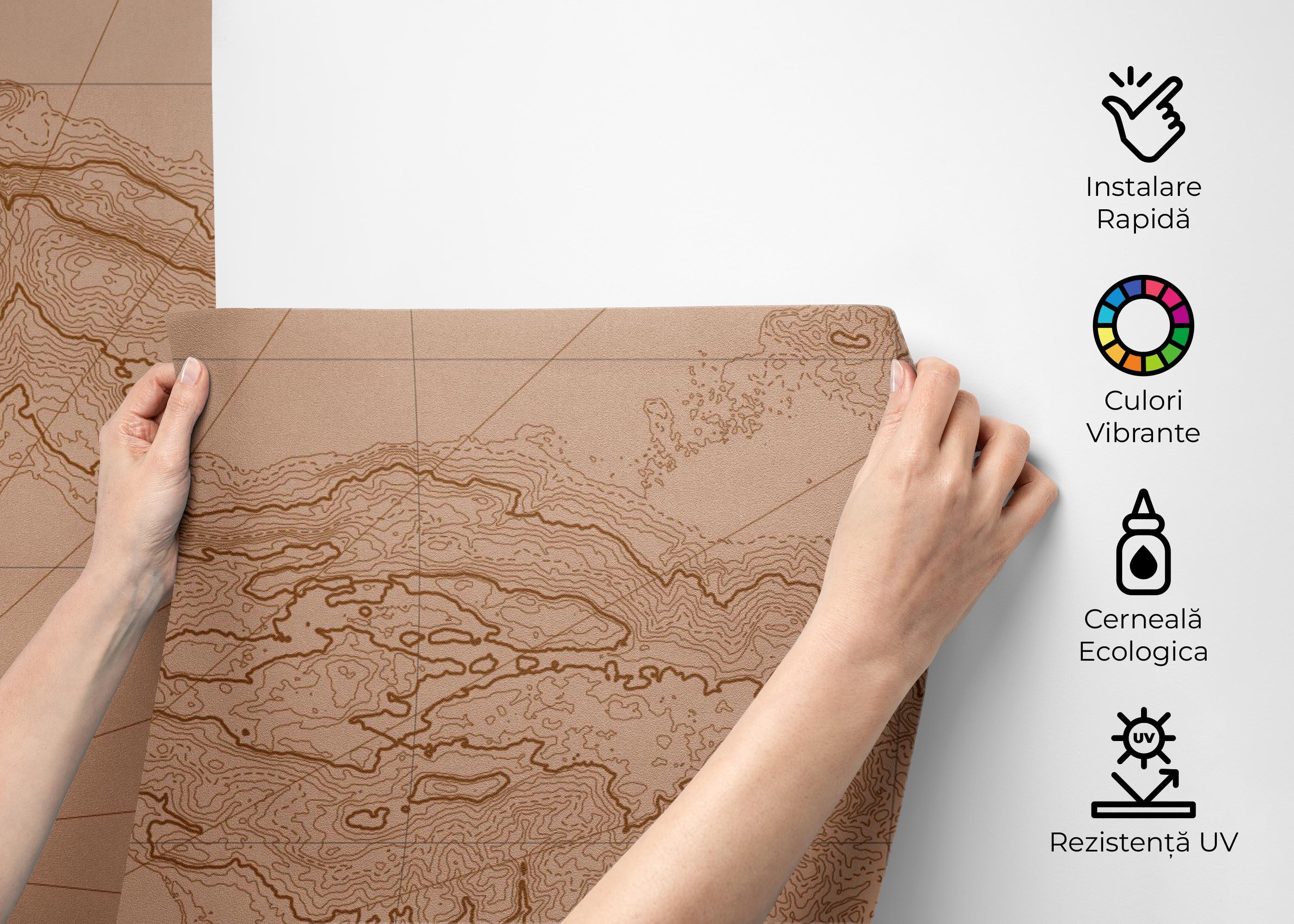 Fototapet Brown Pink Map mockup 2