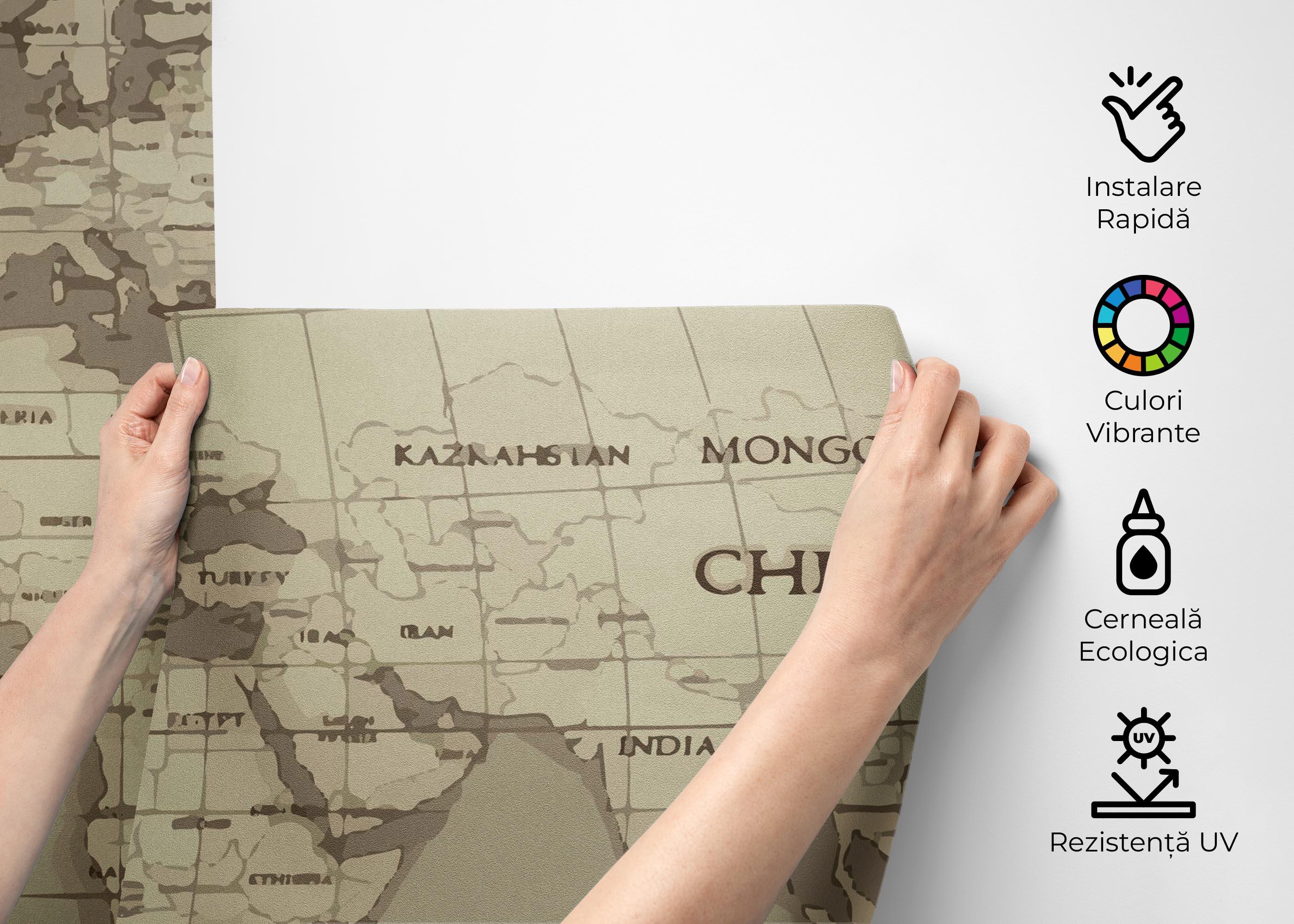 Fototapet Grey Old Map mockup 2