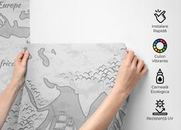 Light Grey Map mockup 2