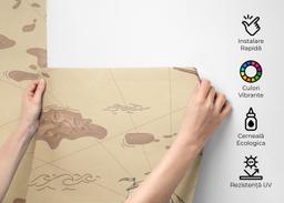 Light Pink Map mockup 2