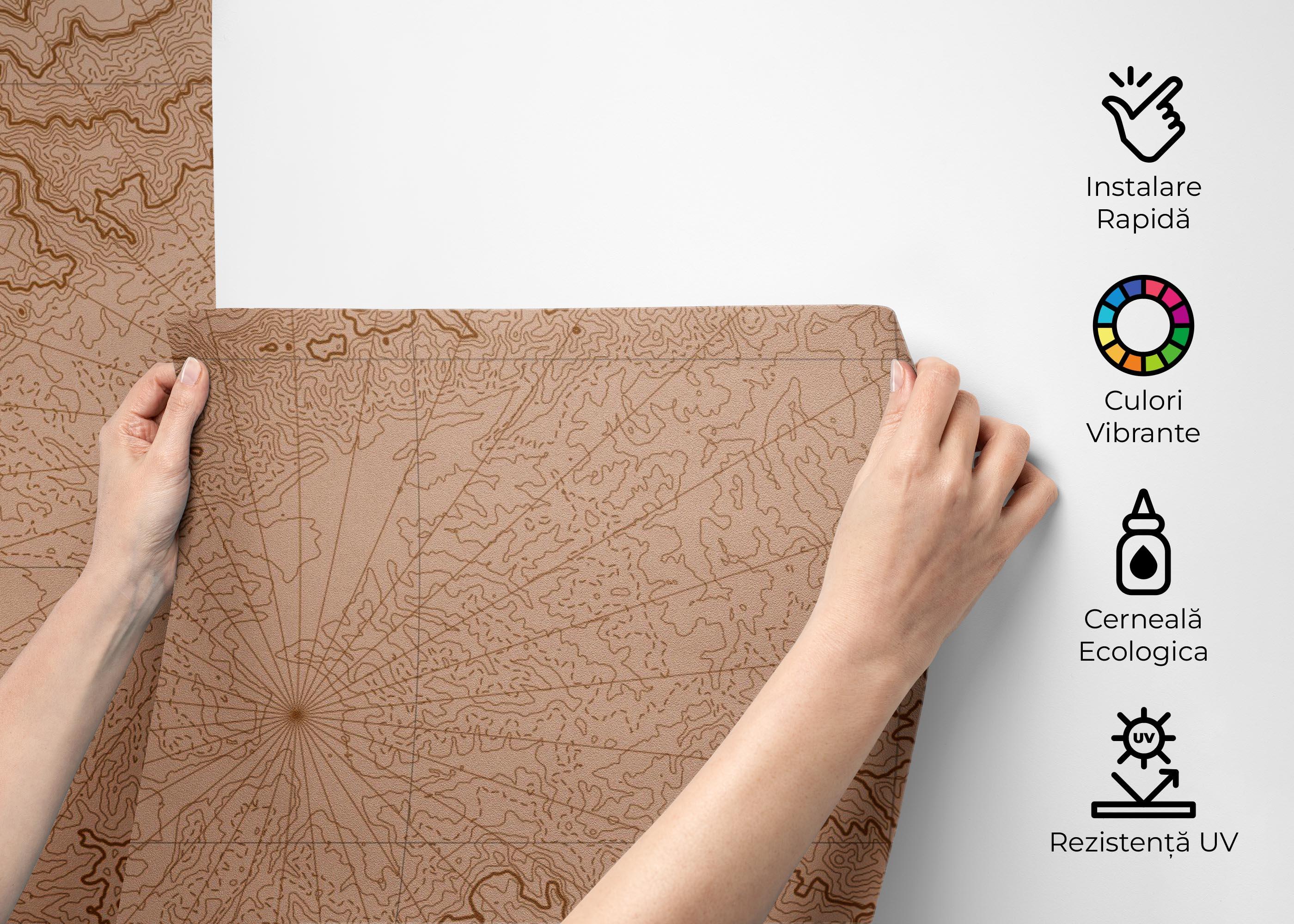 Fototapet Long Old Map mockup 2