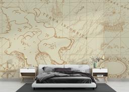 Ancient Cream Map mockup 3