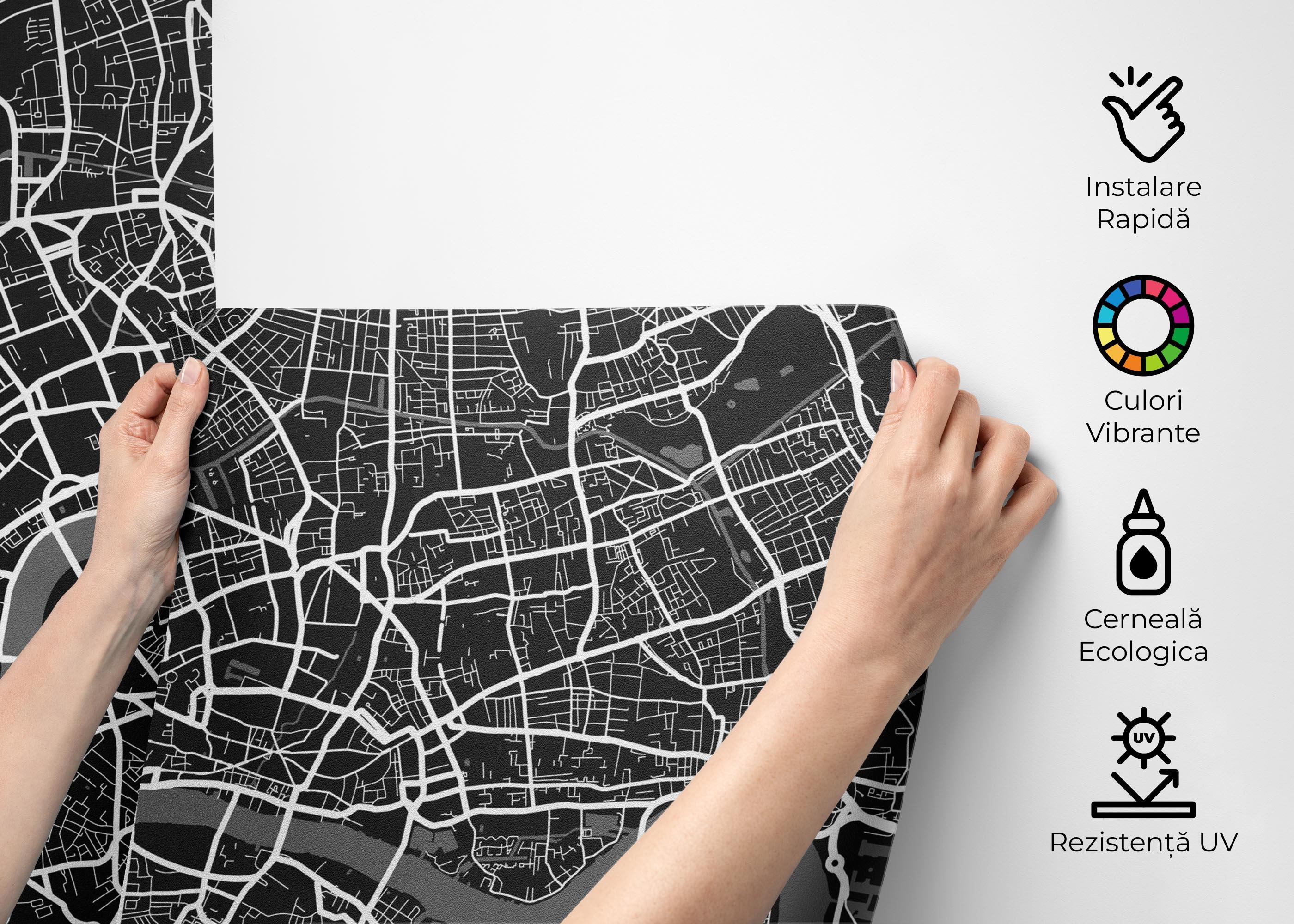 Fototapet Black White Map mockup 2