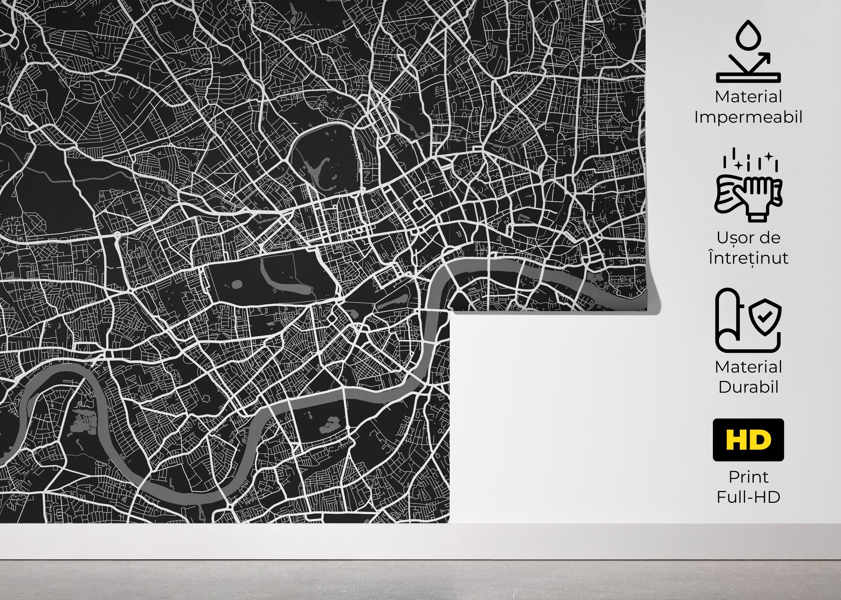 Black White Map mockup 5