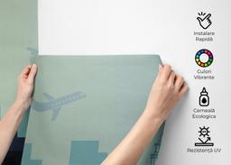 Airplane New York mockup 2