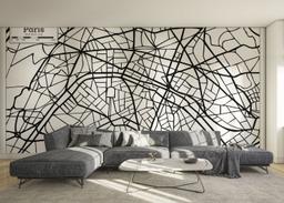 Black Line Paris Map mockup 0