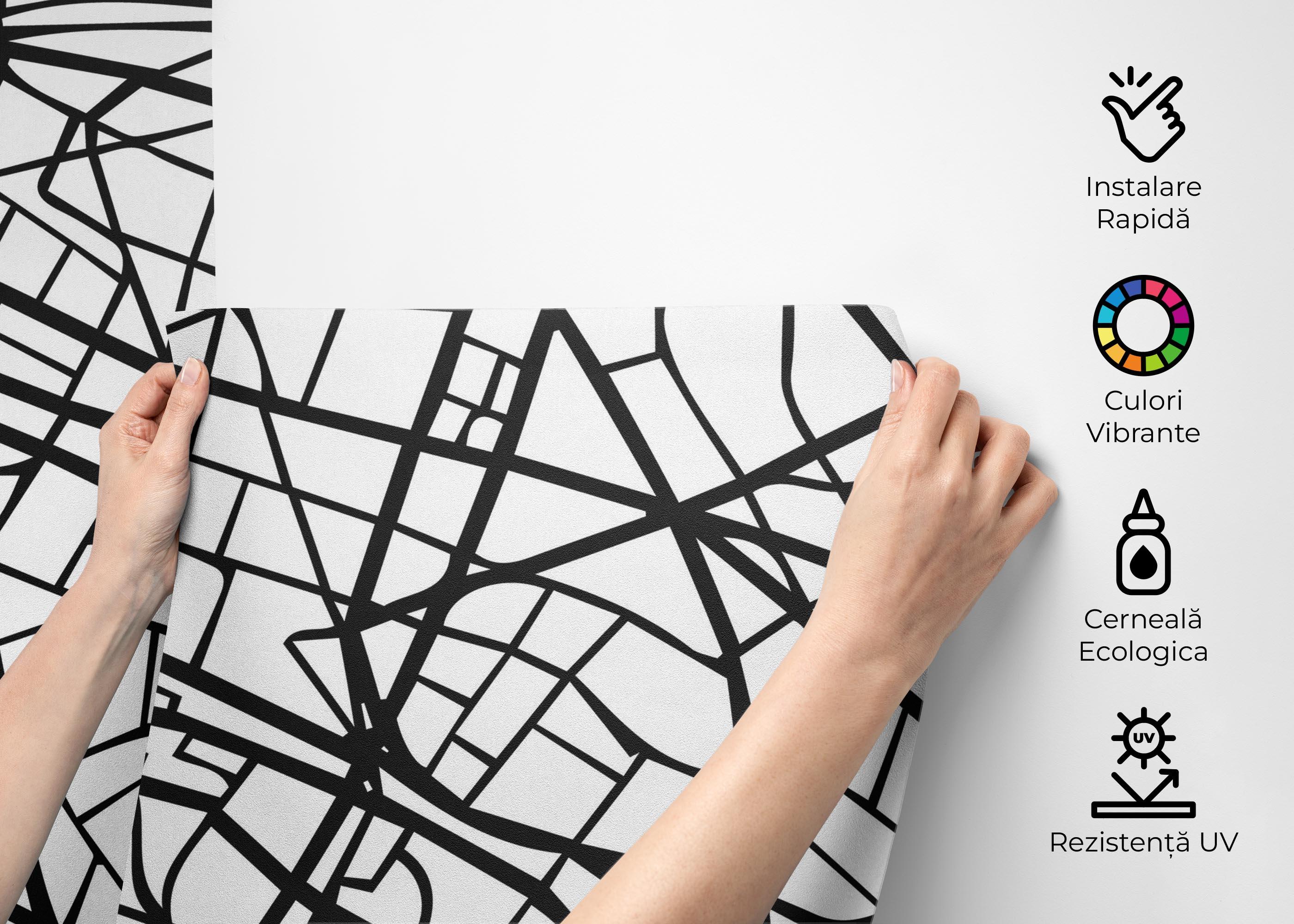 Fototapet Black Line Paris Map mockup 2