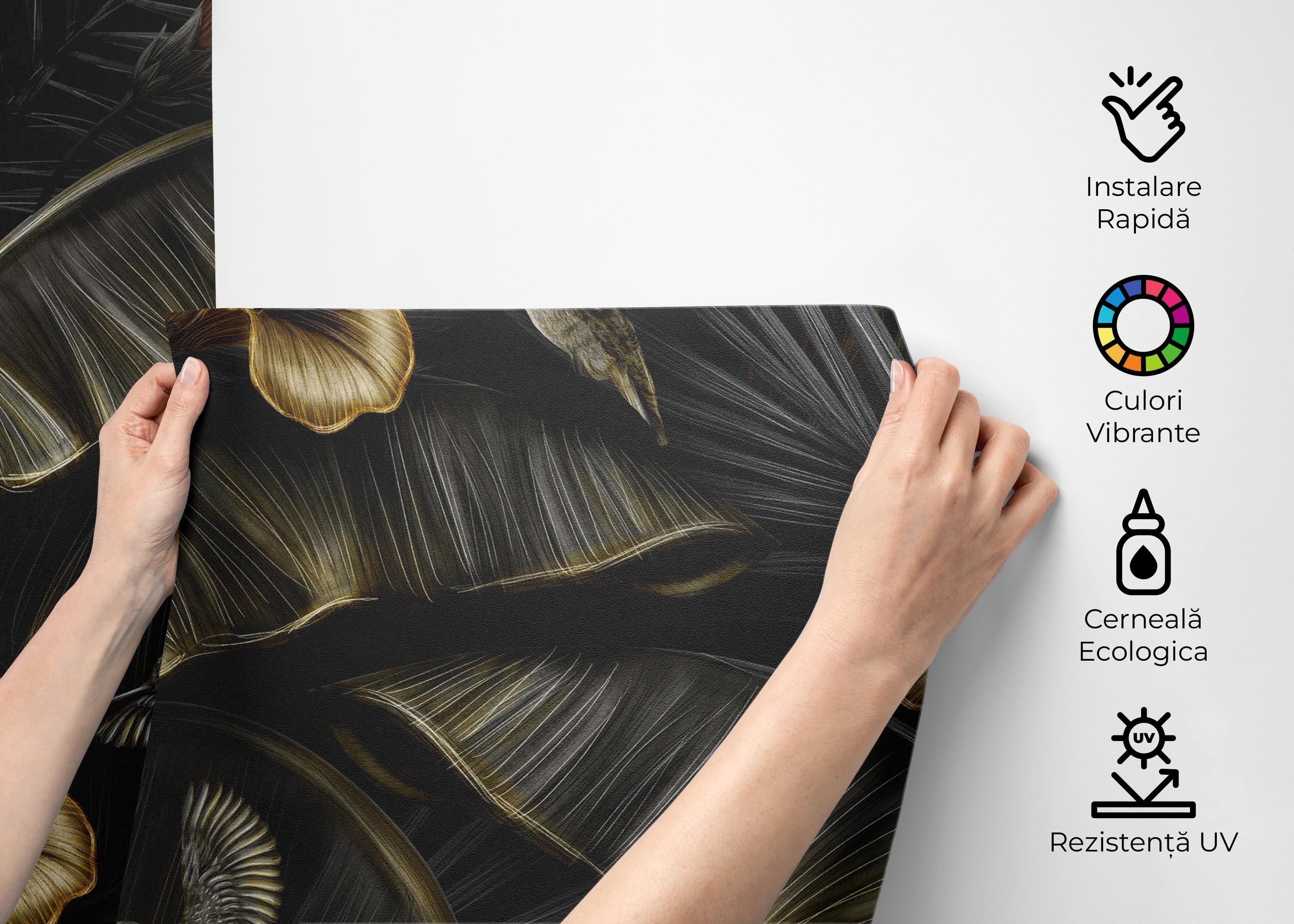 Fototapet Exotic Hummingbird mockup 2