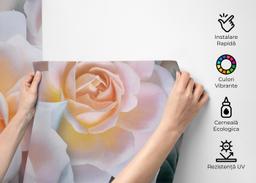 Marzipan Rose mockup 2