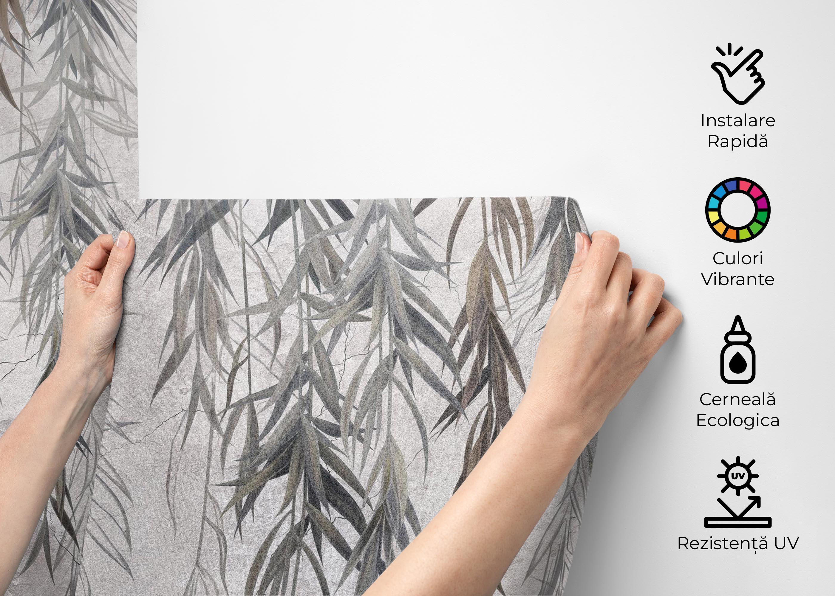 Fototapet Hanging Plants mockup 2