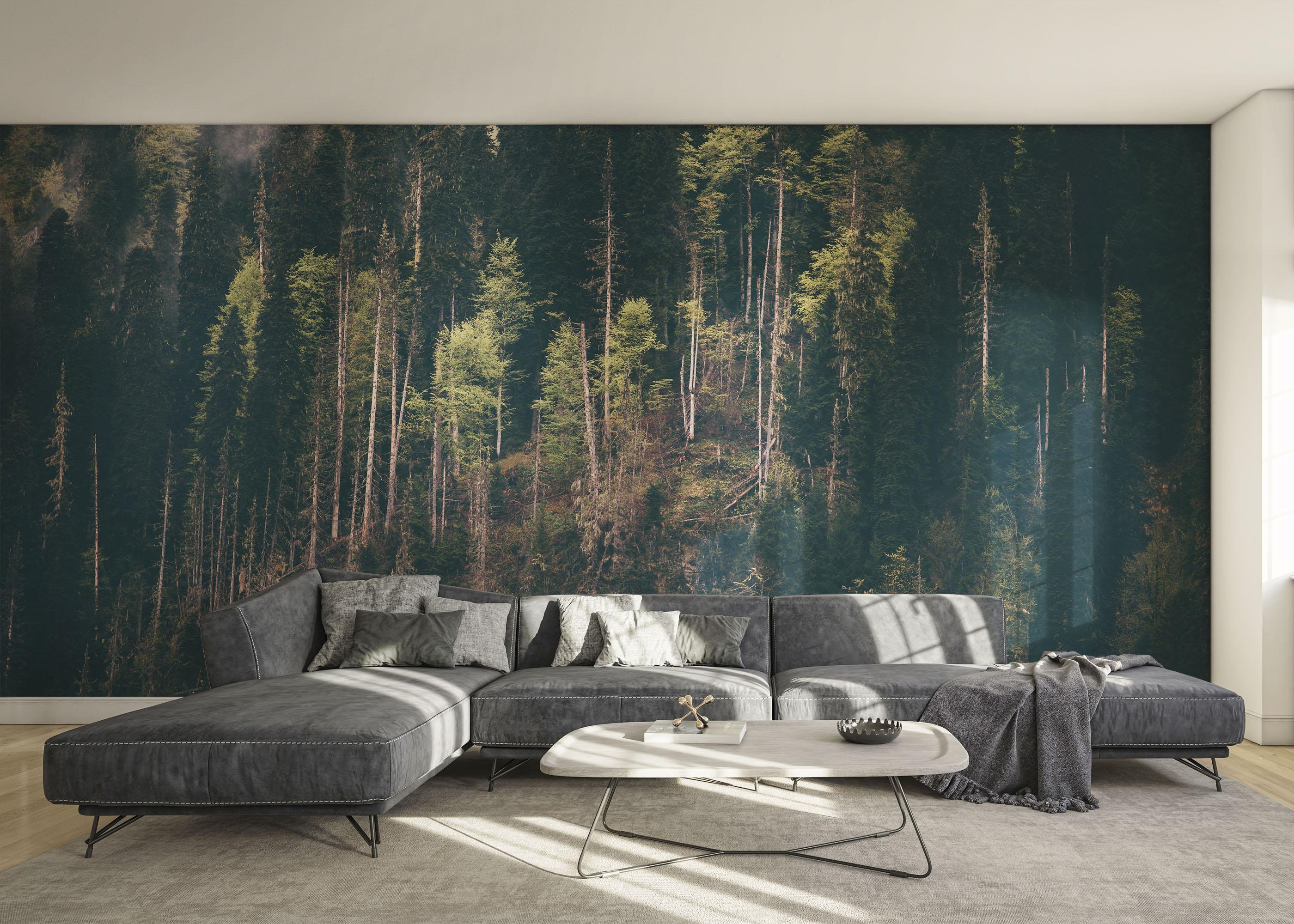 Fototapet Dark Mountain Forests mockup 0