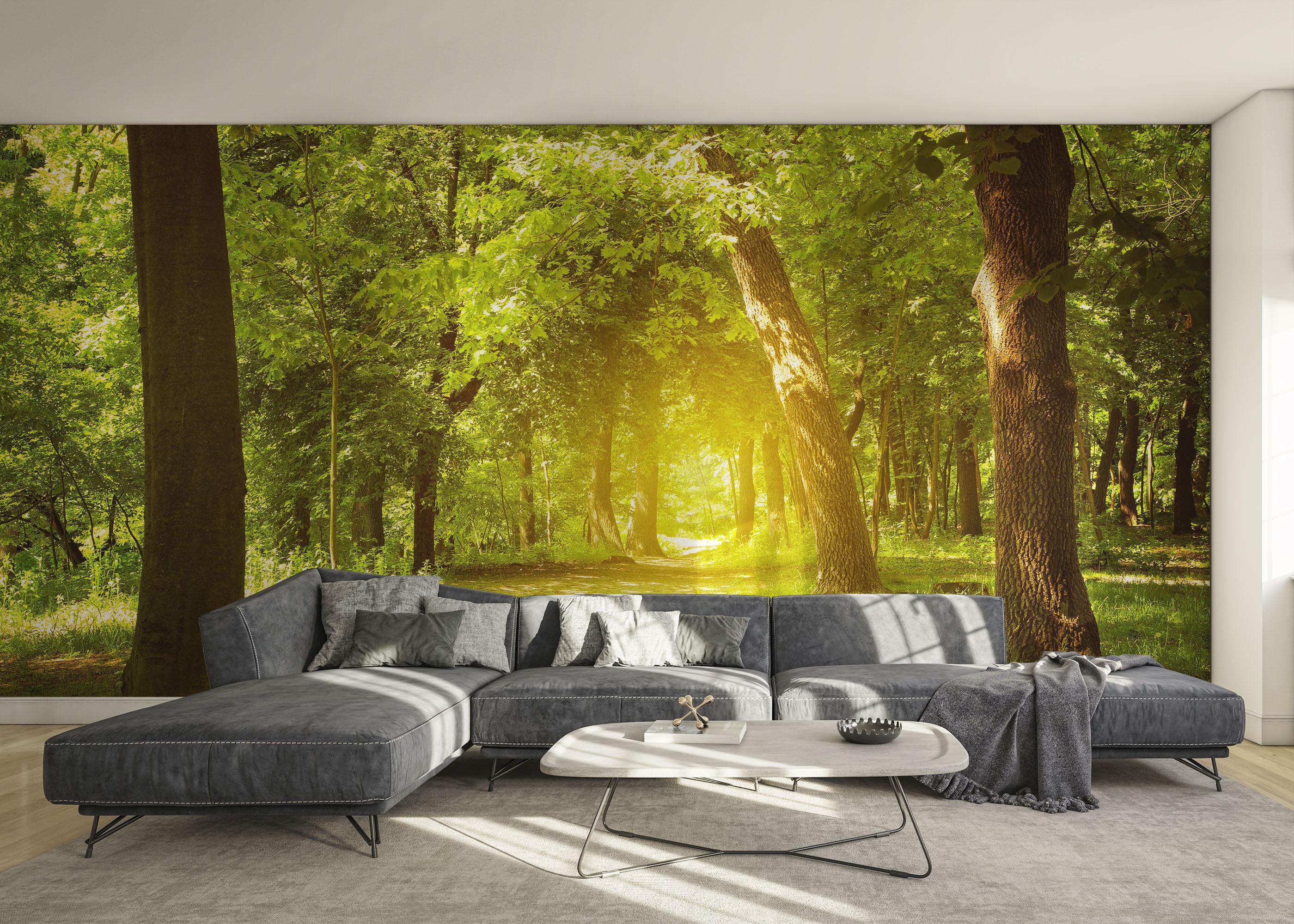 Fototapet Forest Road mockup 0