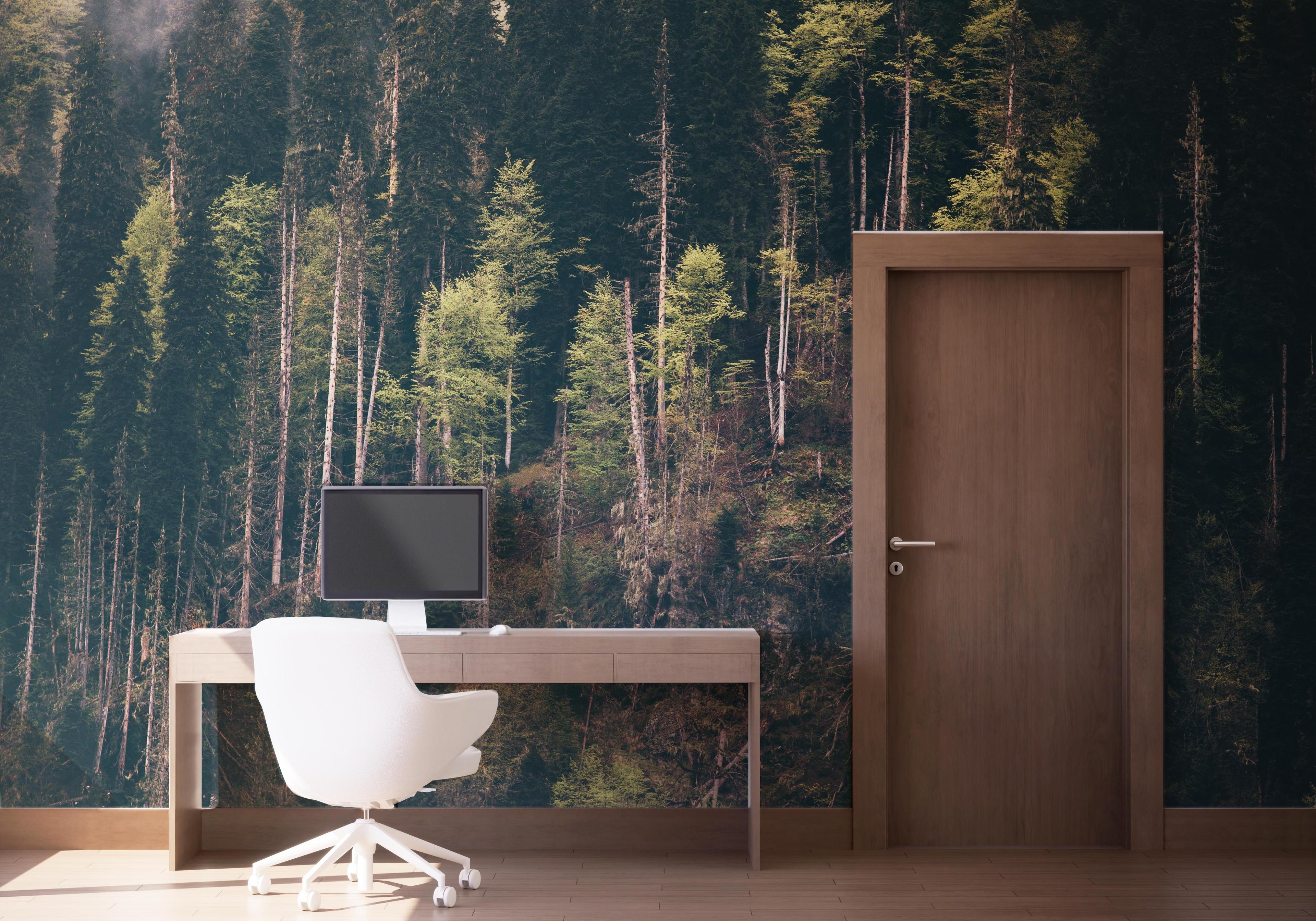 Fototapet Dark Mountain Forests mockup 1