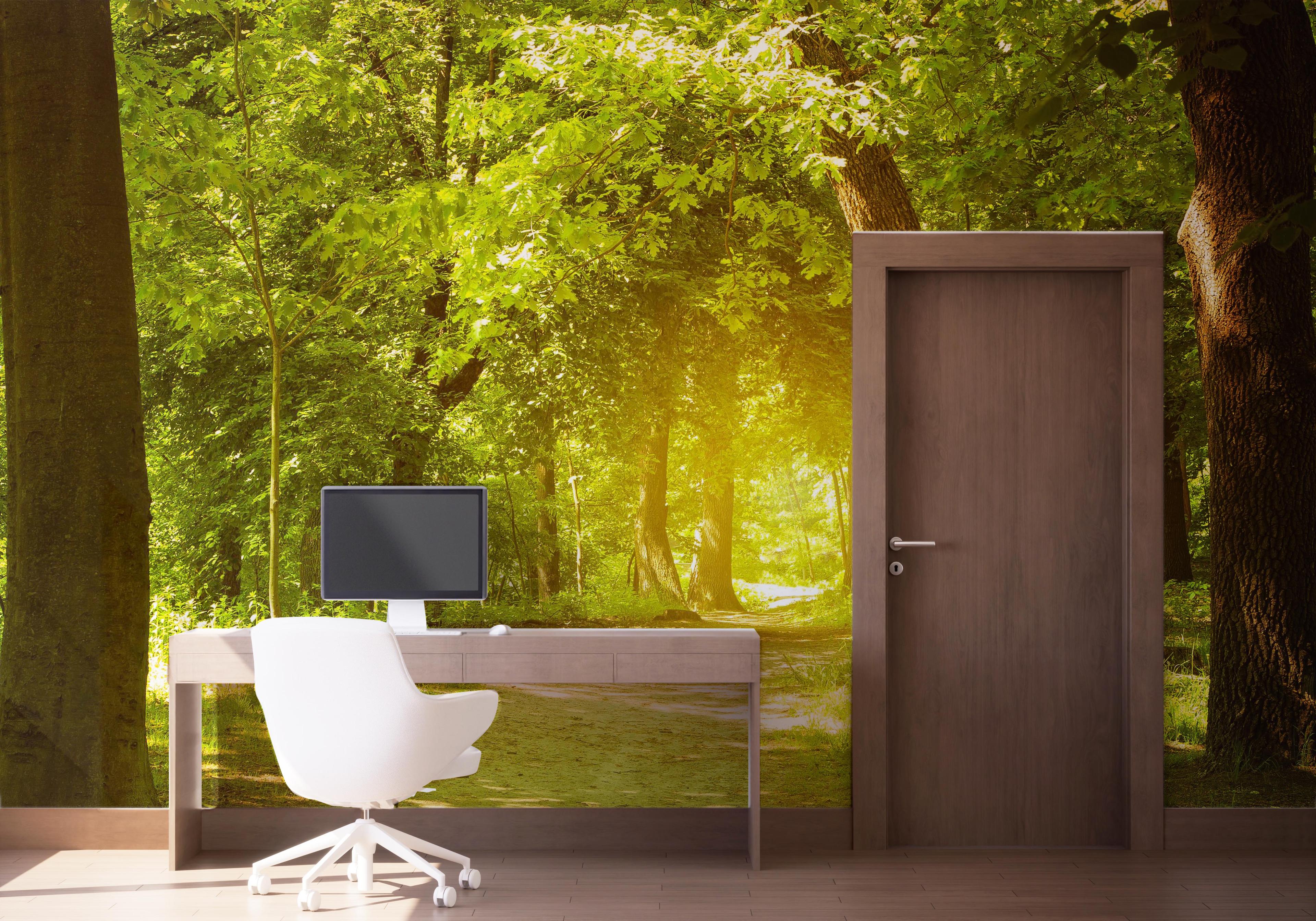 Fototapet Forest Road mockup 1