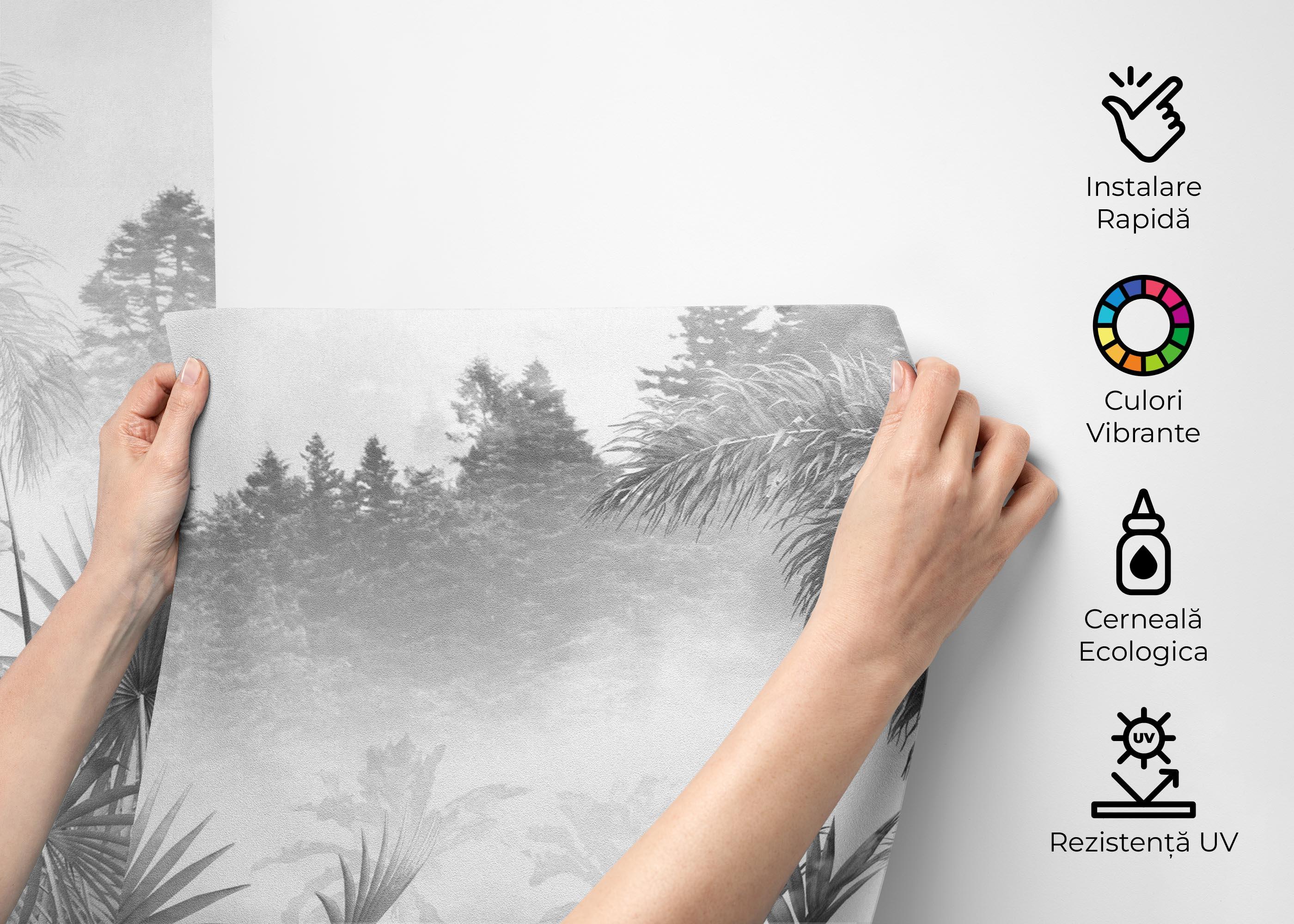 Fototapet Ash Forest mockup 2