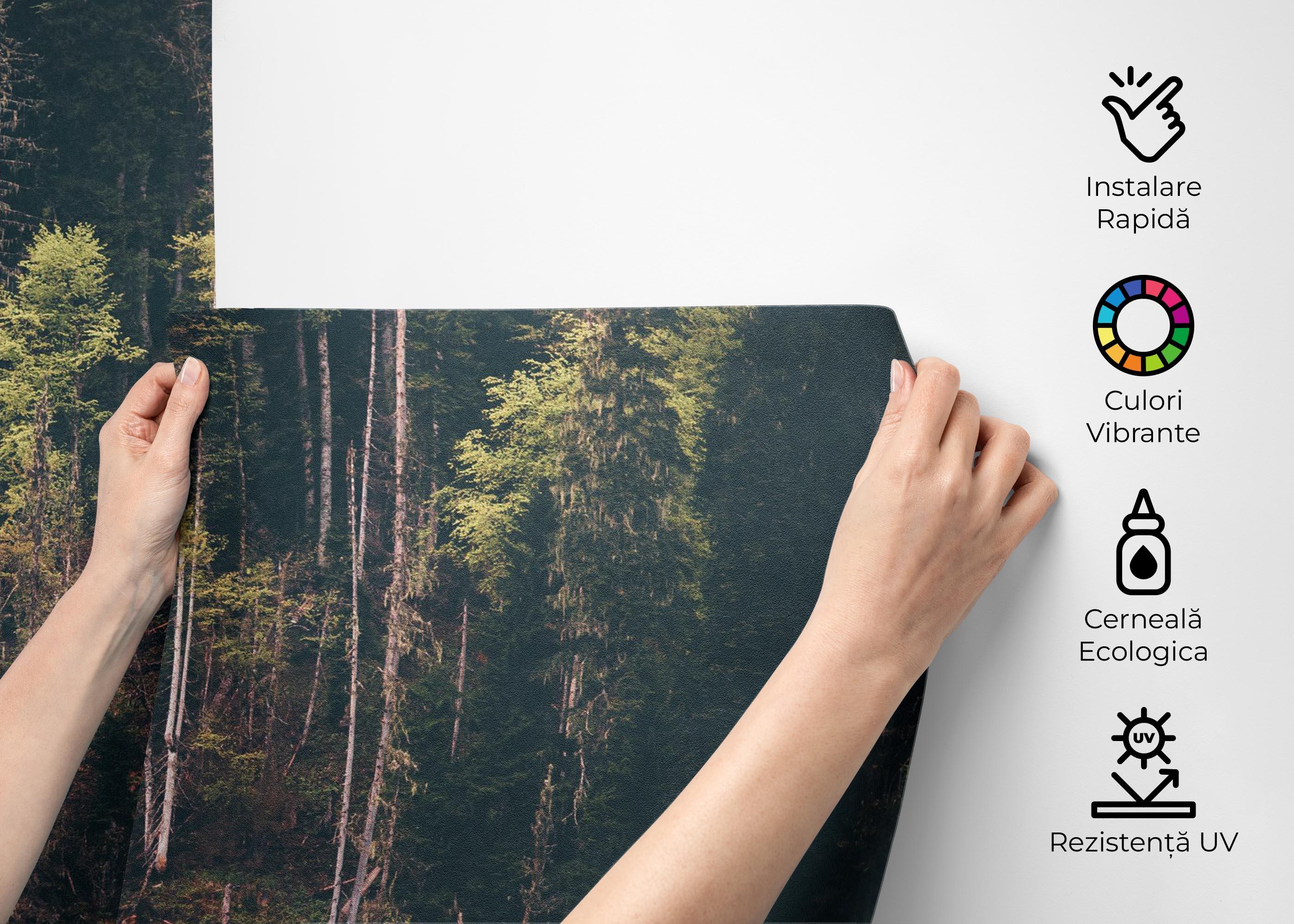 Fototapet Dark Mountain Forests mockup 2