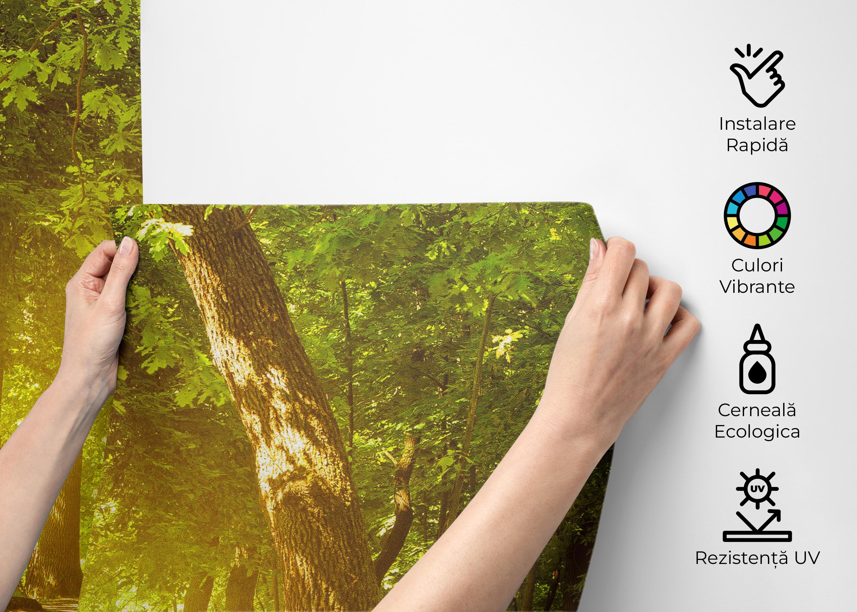 Fototapet Forest Road mockup 2