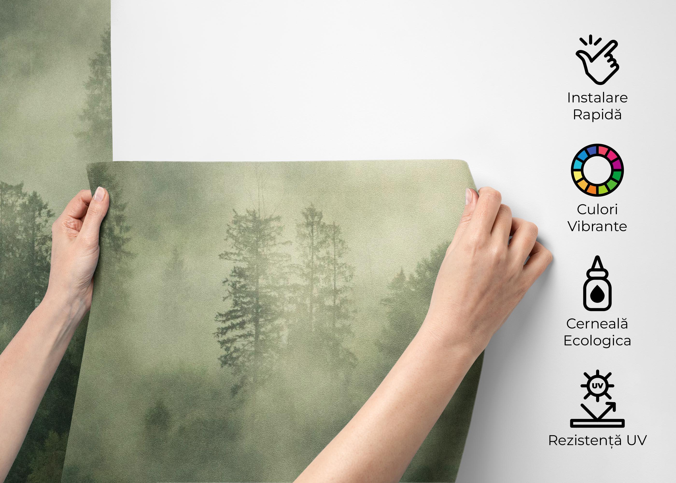 Fototapet Green Forest Fog mockup 2