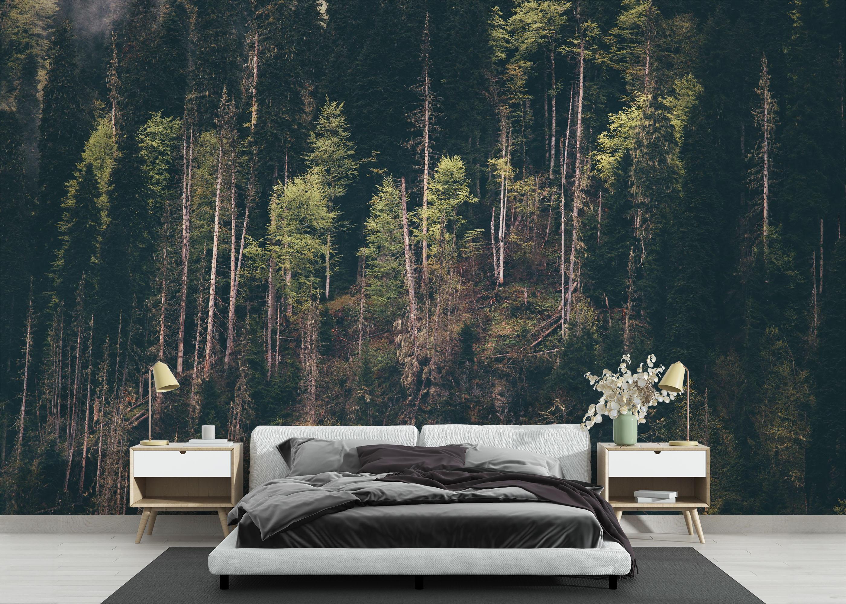 Fototapet Dark Mountain Forests mockup 3