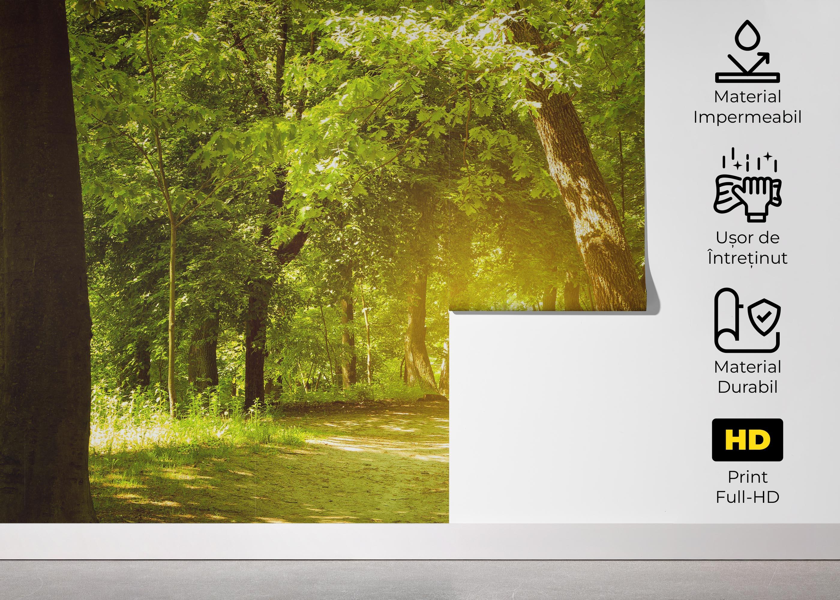 Fototapet Forest Road mockup 5