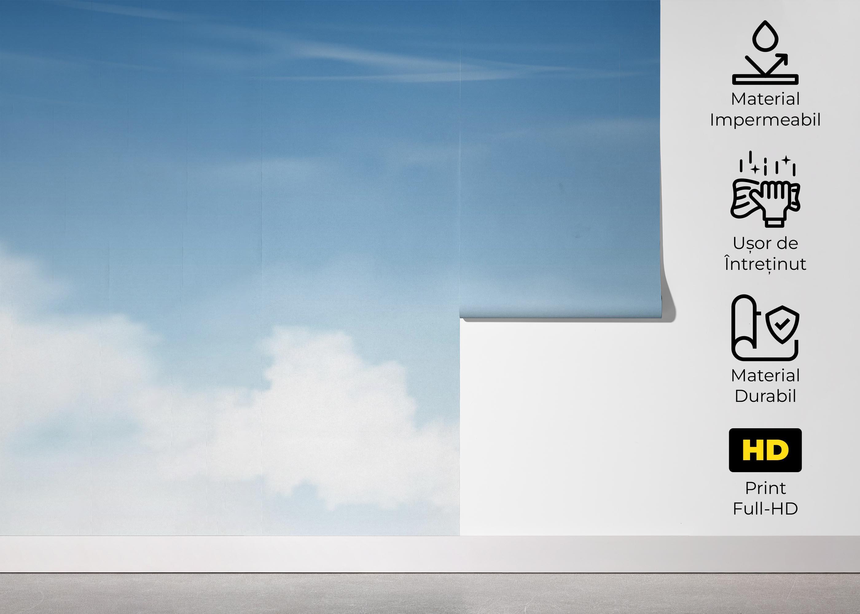 Fototapet Light Blue Sky mockup 5