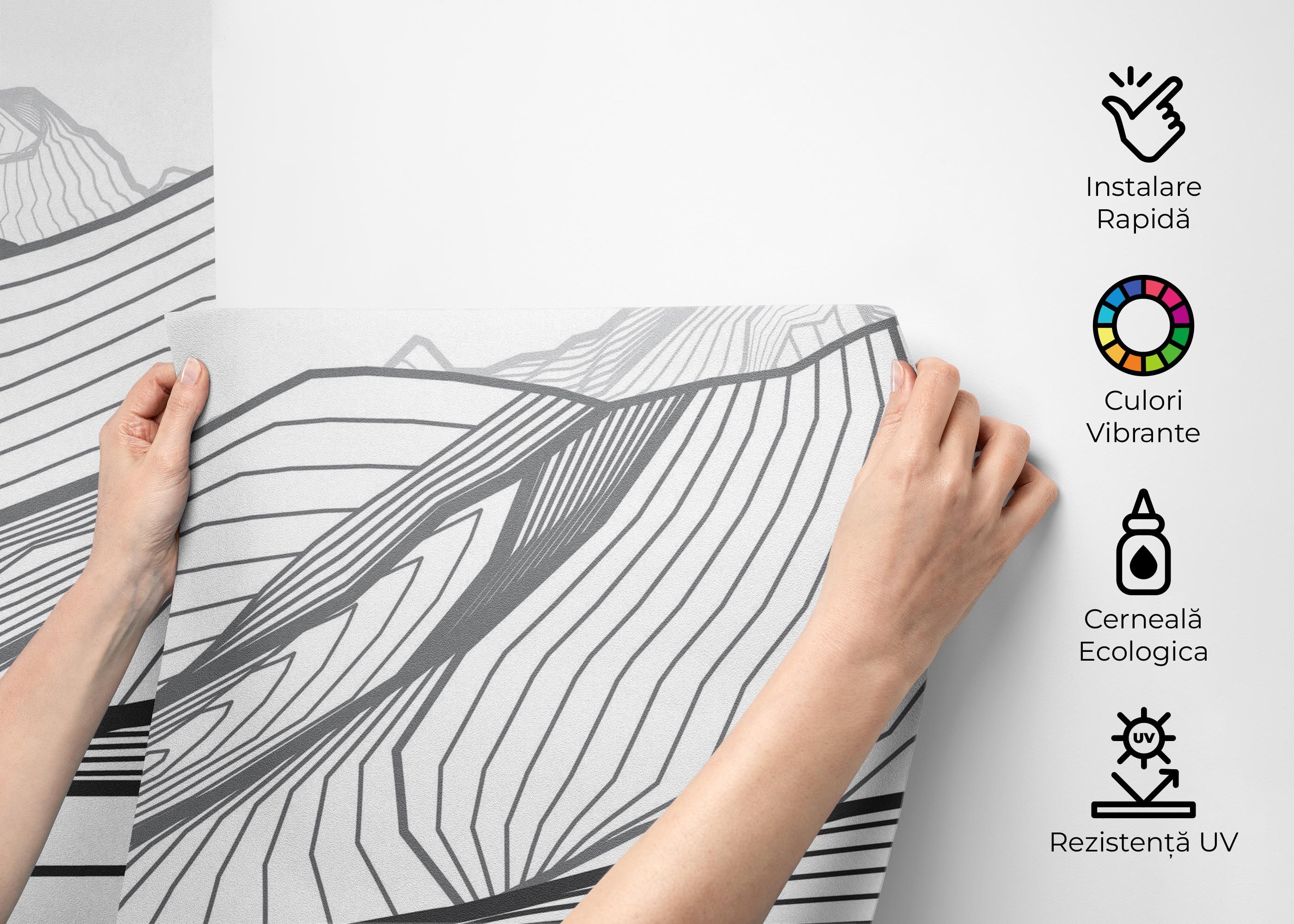 Black Line Desert mockup 2