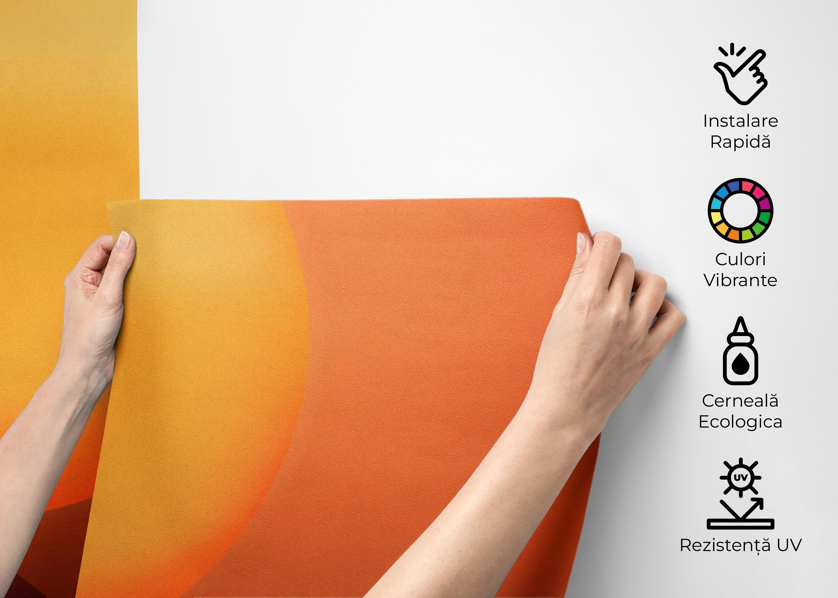 Fototapet Orange Sky Birds mockup 2