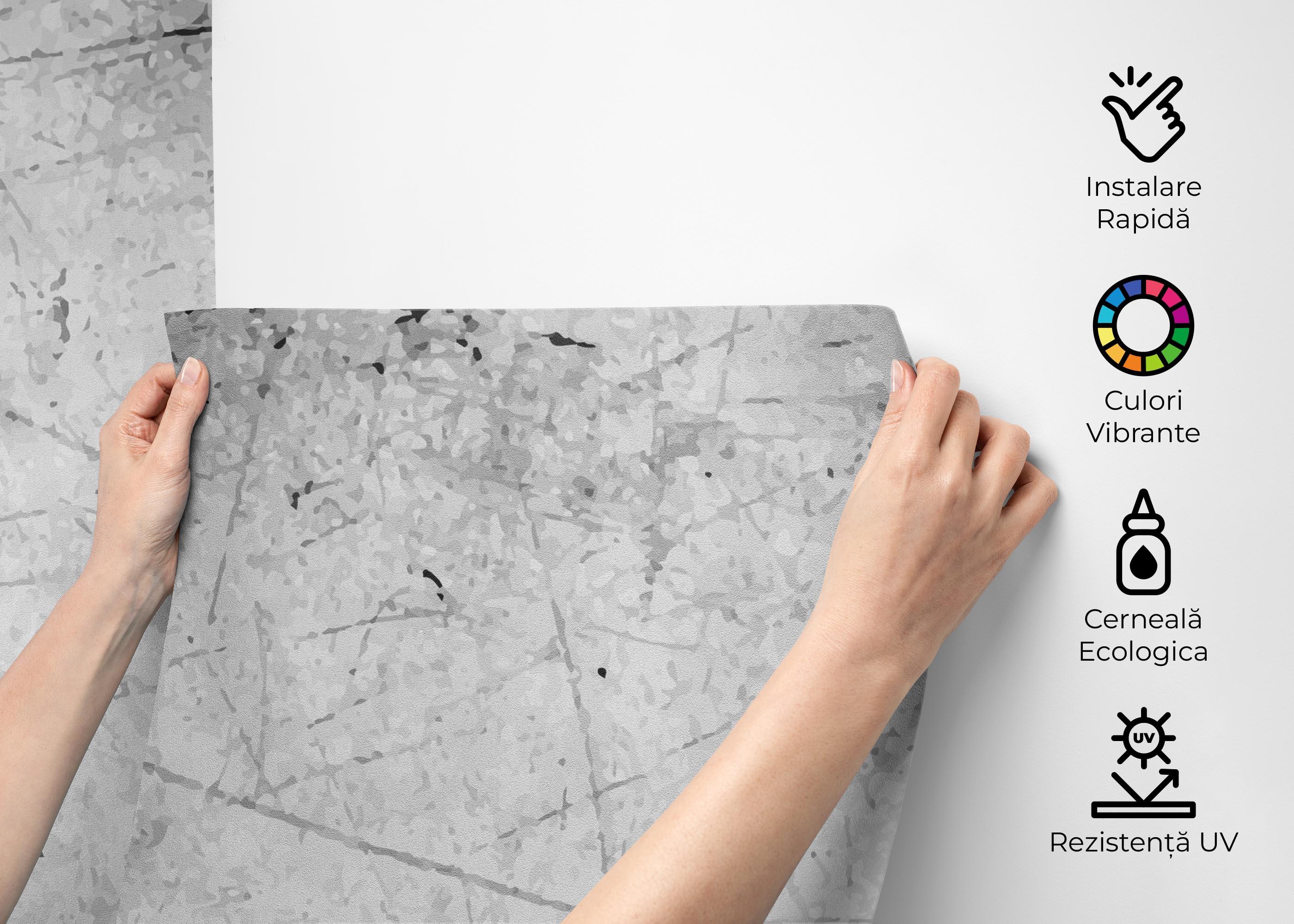 Fototapet Black Paint Concrete mockup 2