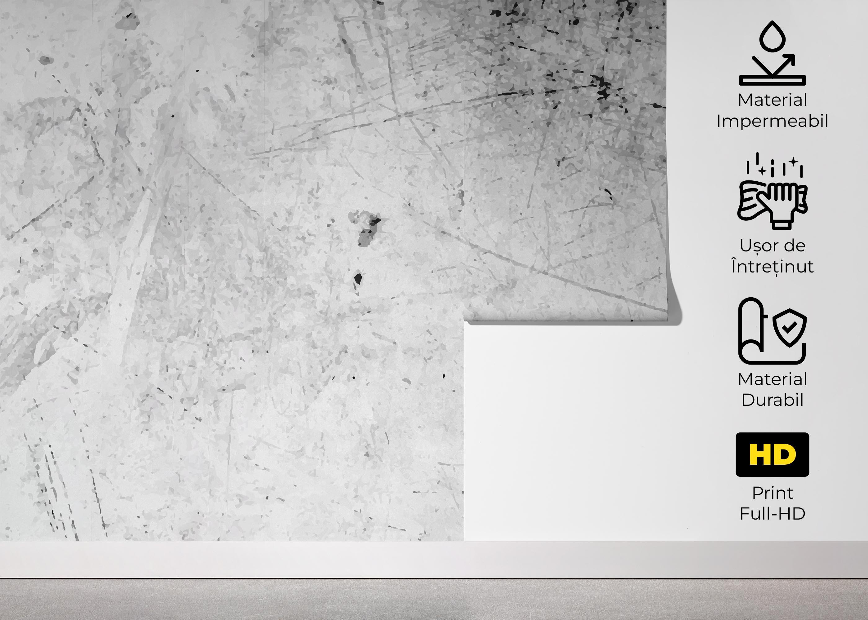 Fototapet Black Paint Concrete mockup 5