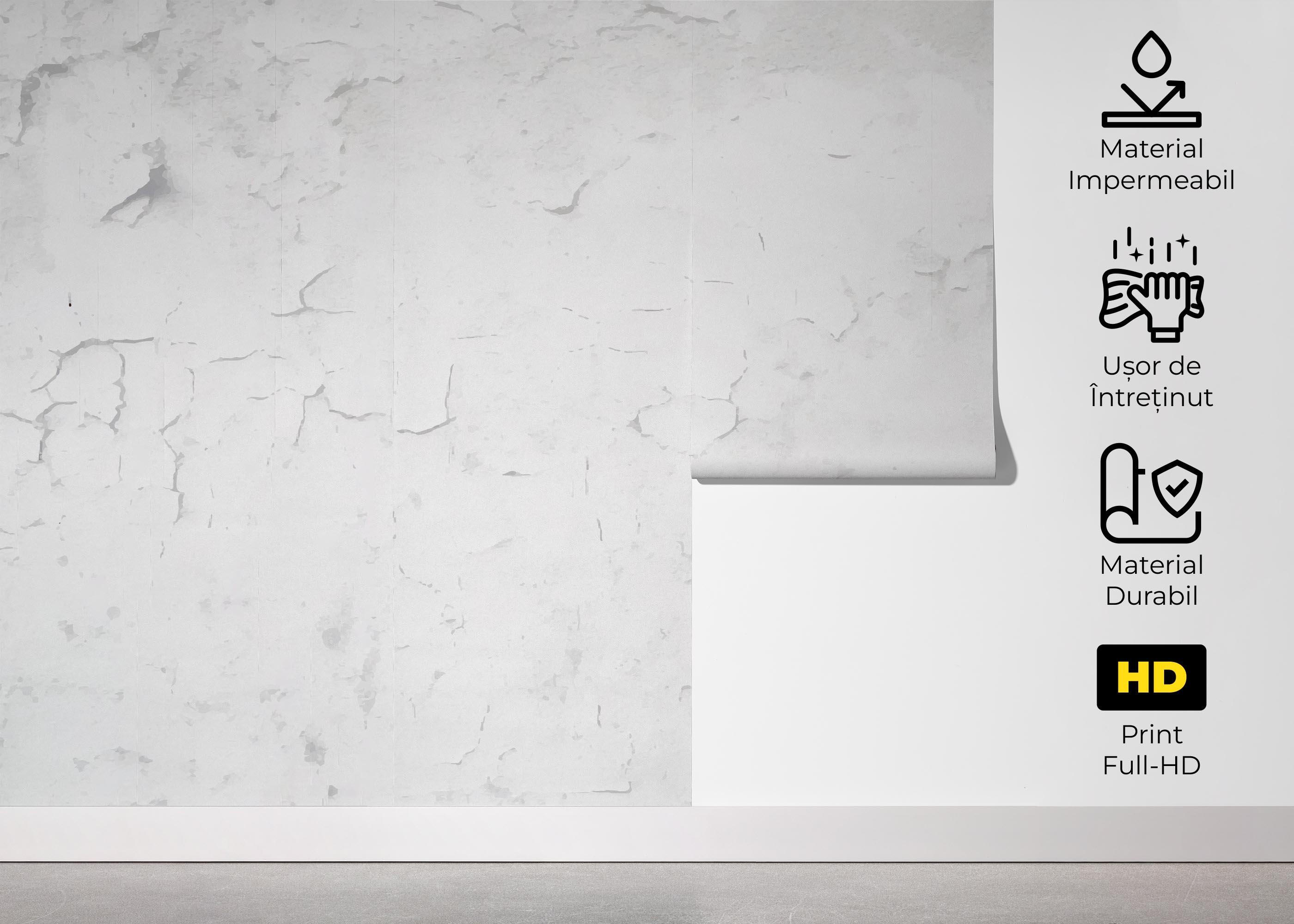 Fototapet Grey Concrete Crack mockup 5