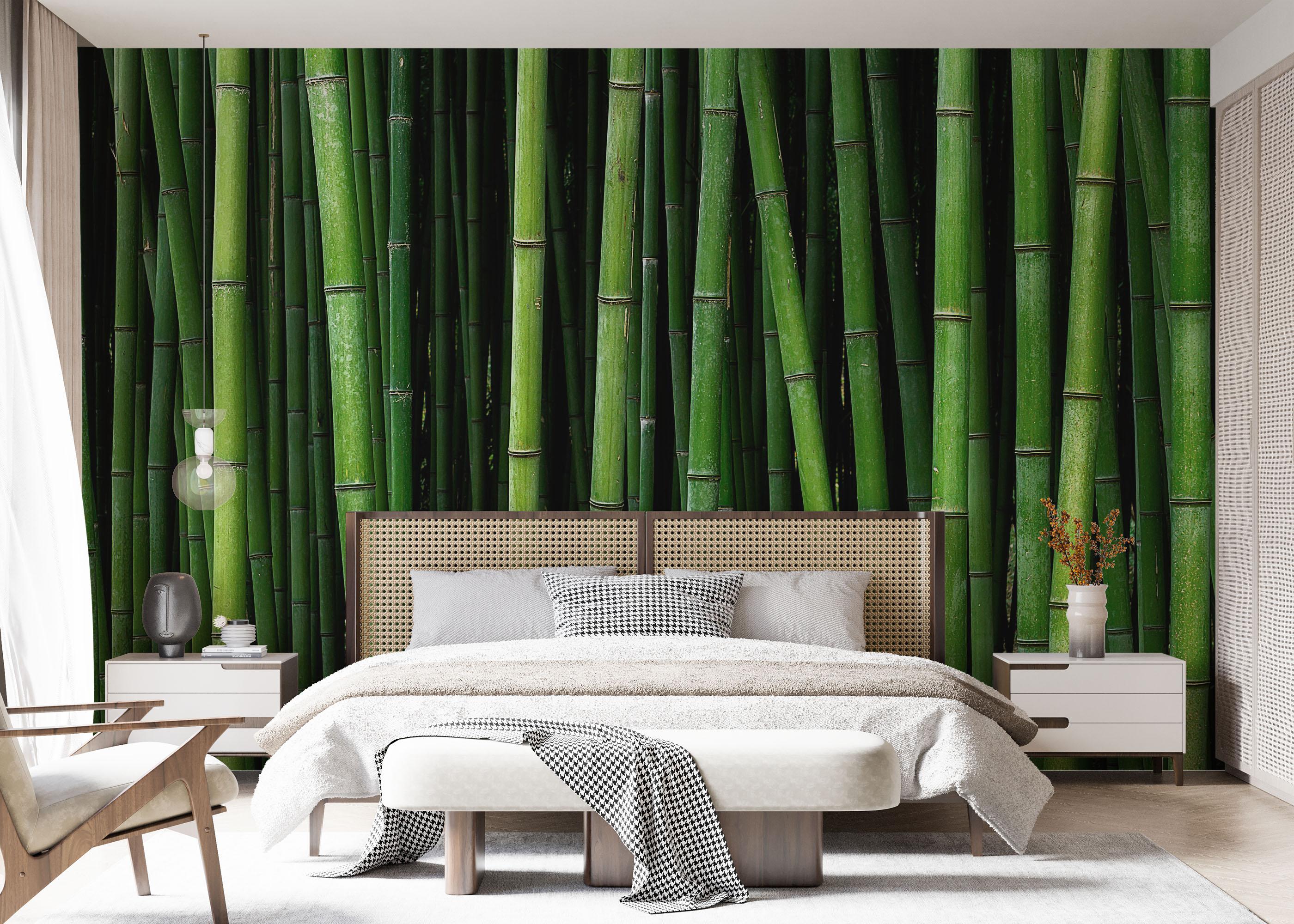 Fototapet Green Bamboo mockup 7
