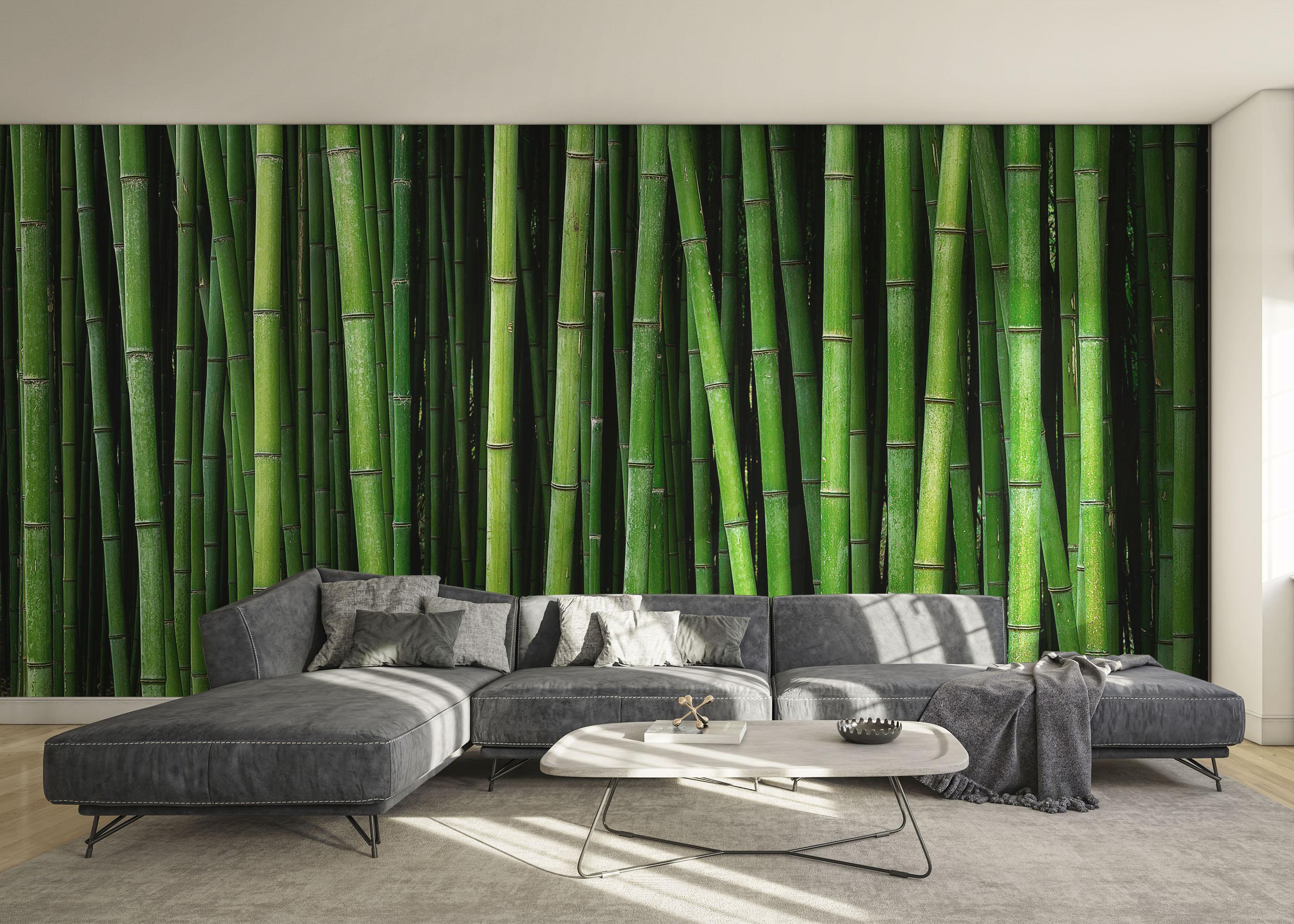 Fototapet Green Bamboo mockup 0