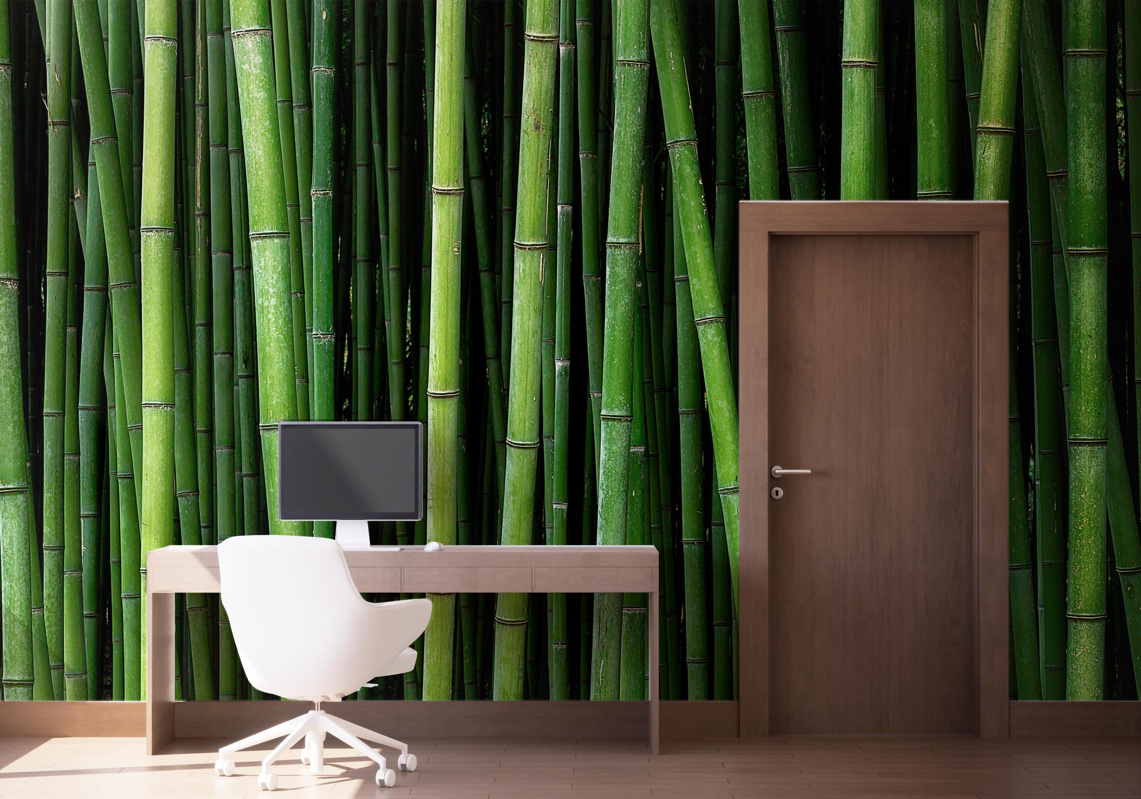 Fototapet Green Bamboo mockup 1