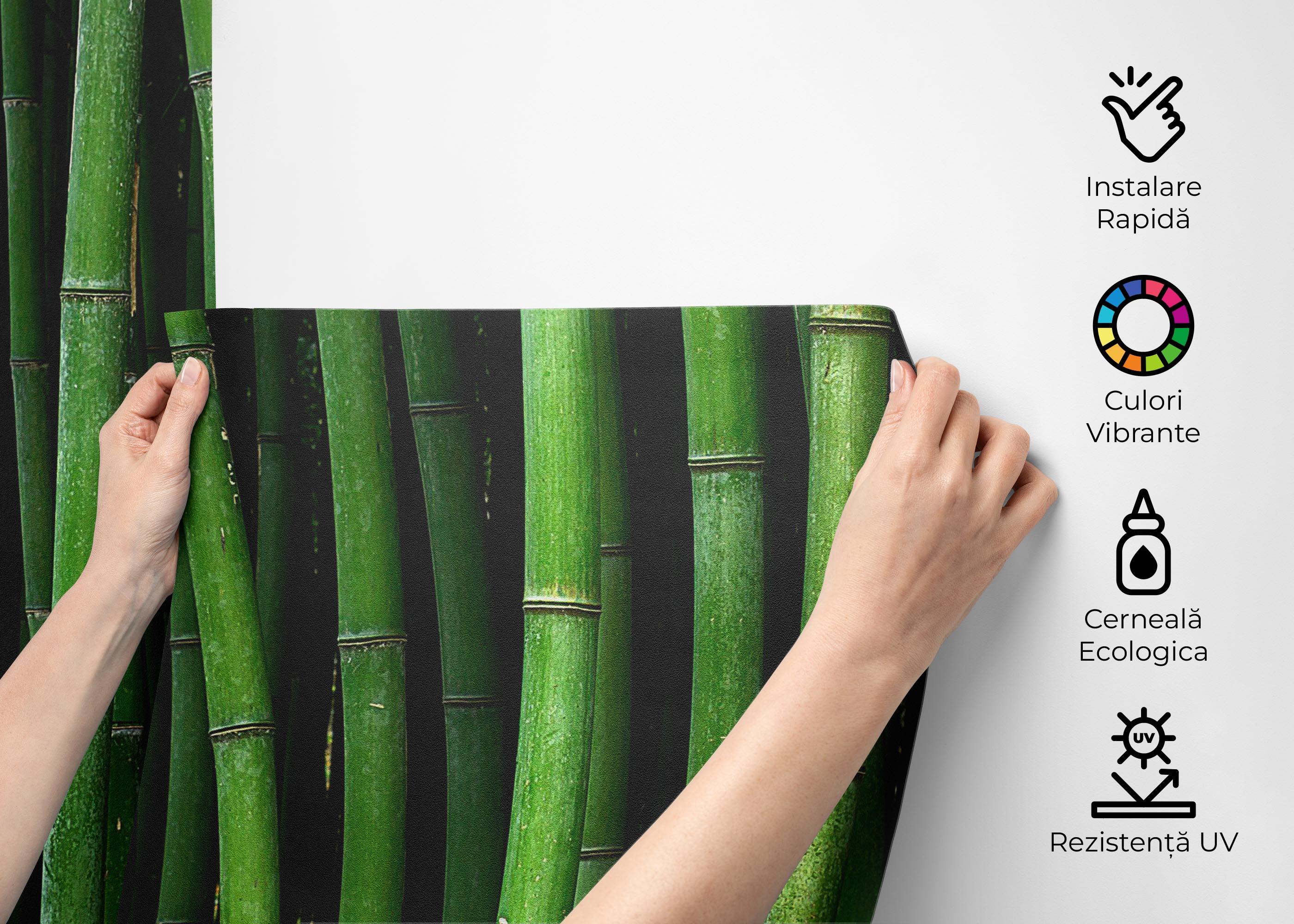 Fototapet Green Bamboo mockup 2