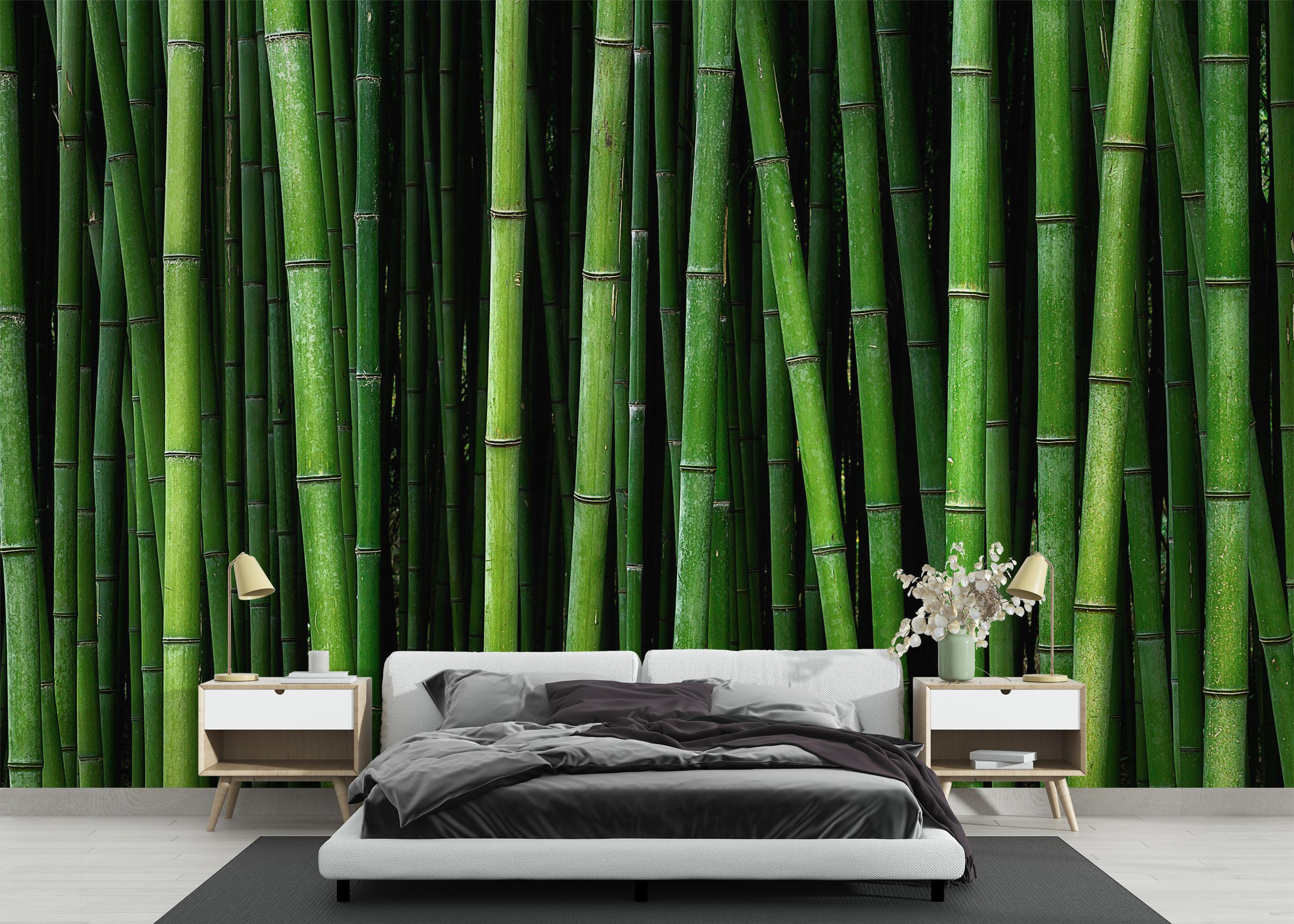 Fototapet Green Bamboo mockup 3