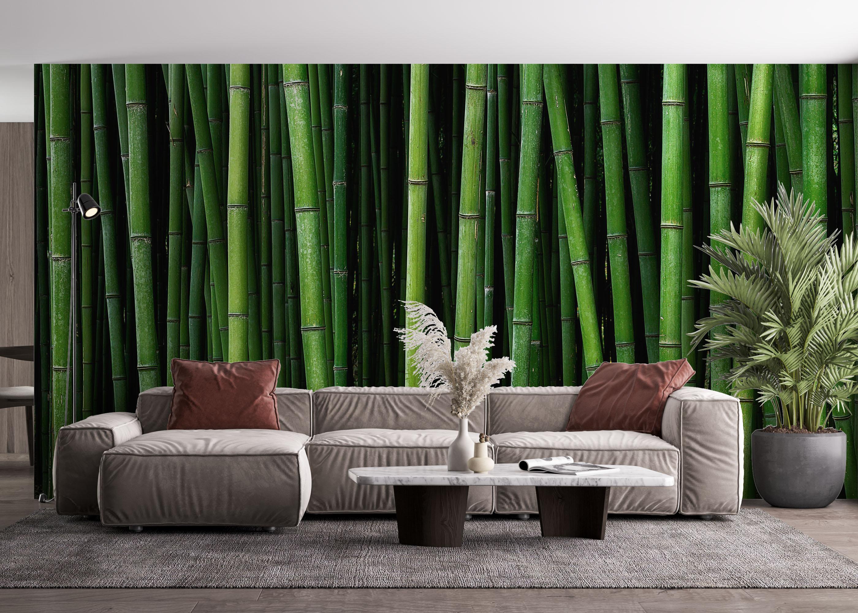 Fototapet Green Bamboo mockup 4