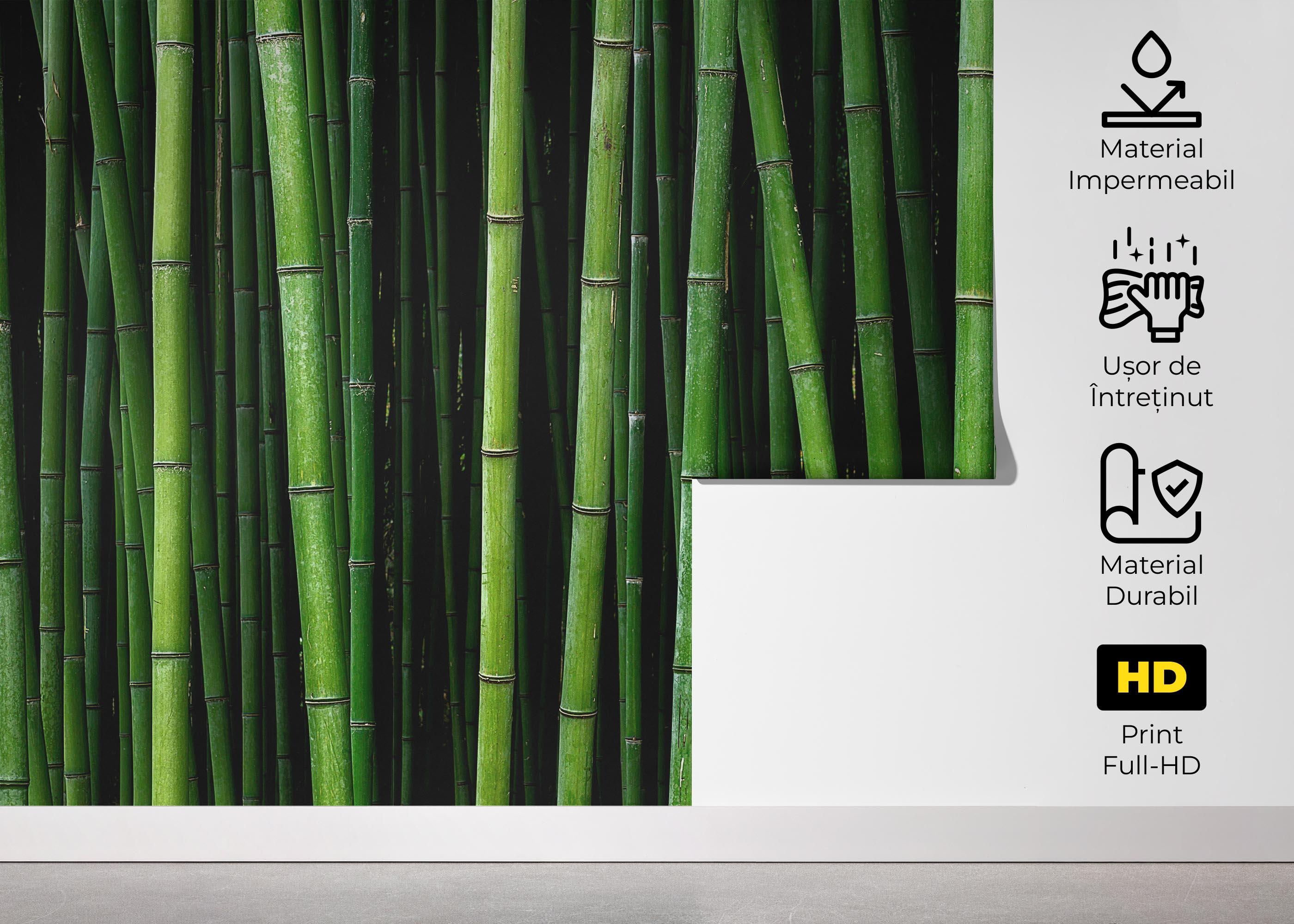 Fototapet Green Bamboo mockup 5