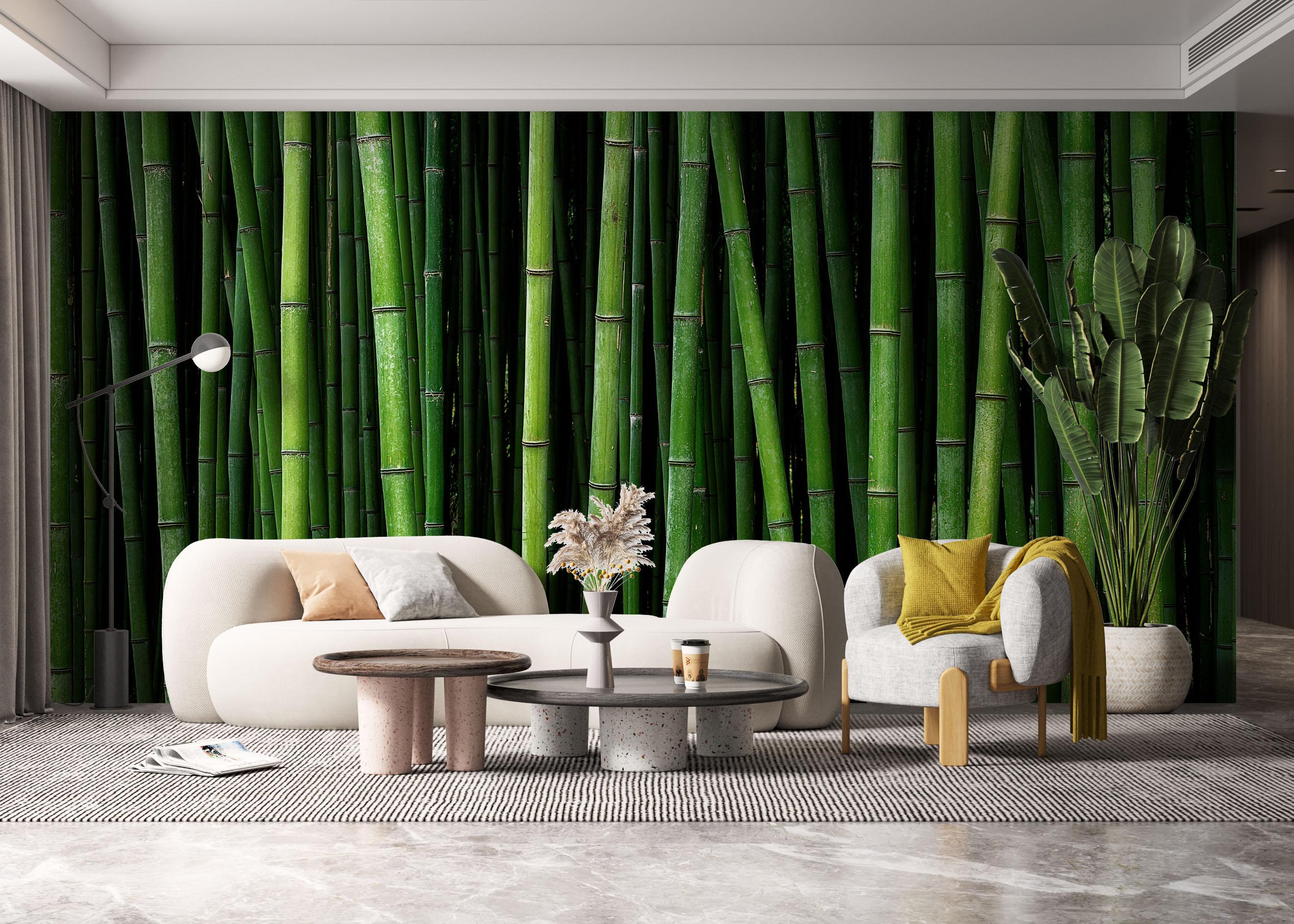 Fototapet Green Bamboo mockup 6