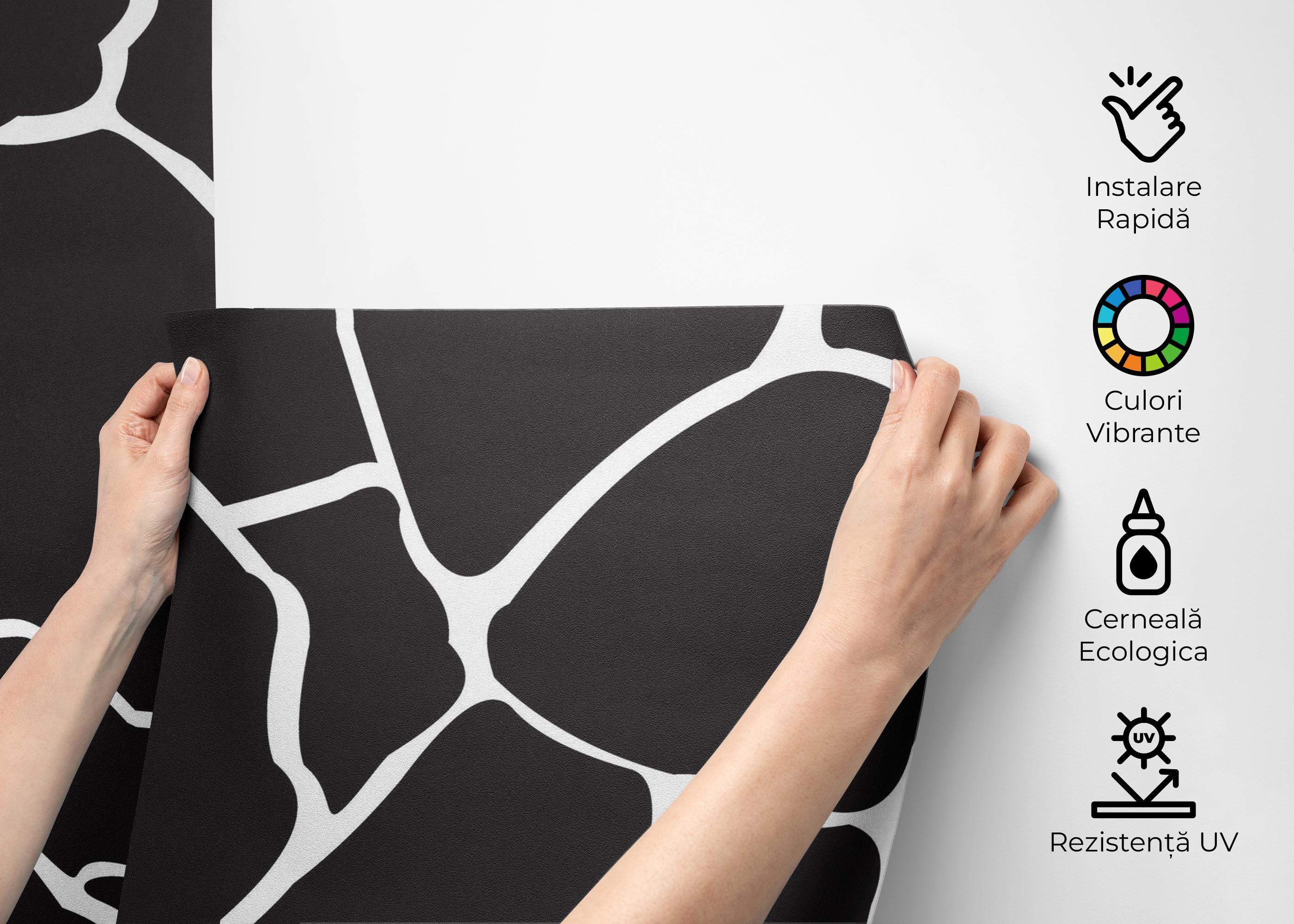 Fototapet Black Stones Art mockup 2